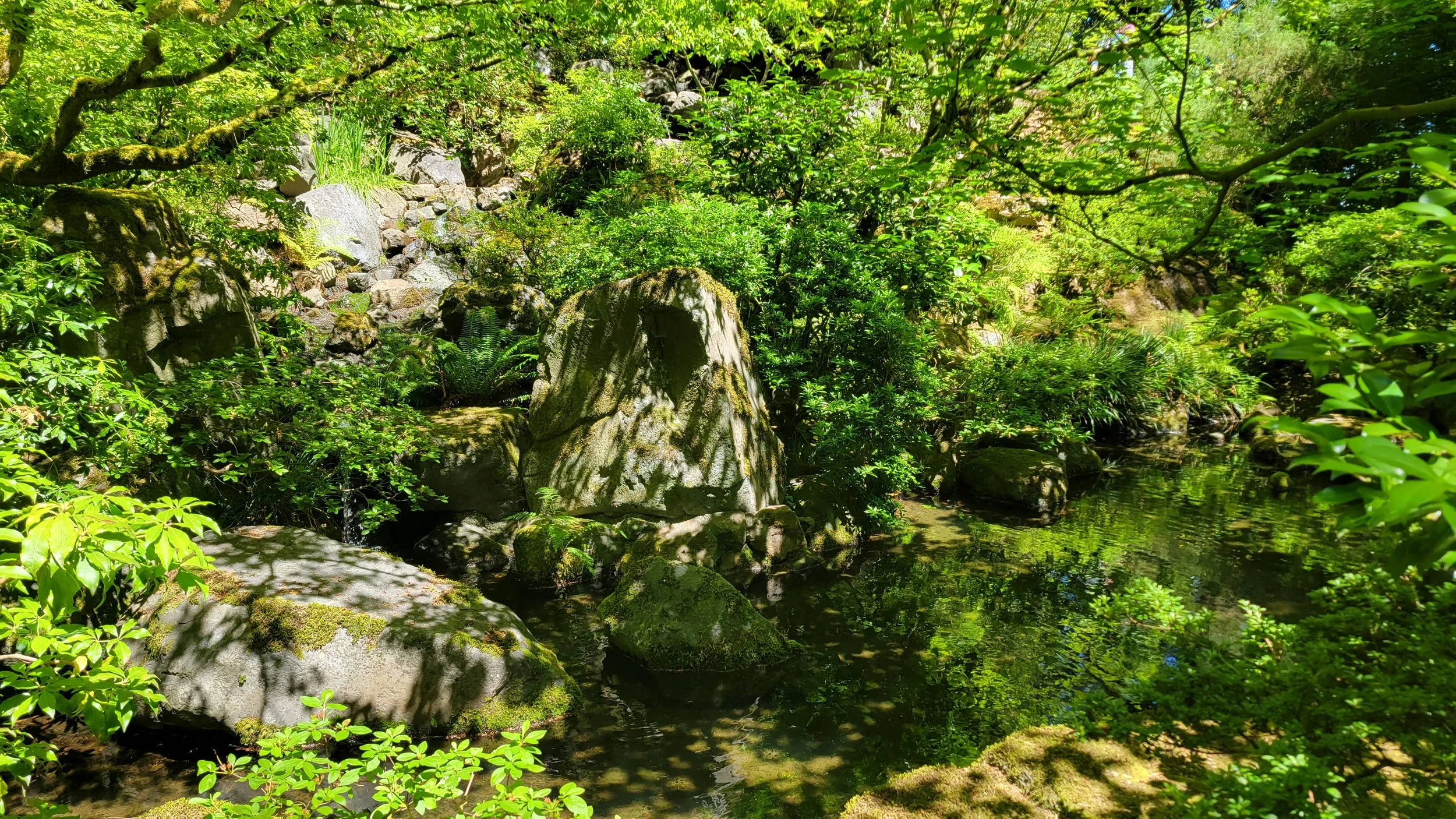 20220724_124726.jpg