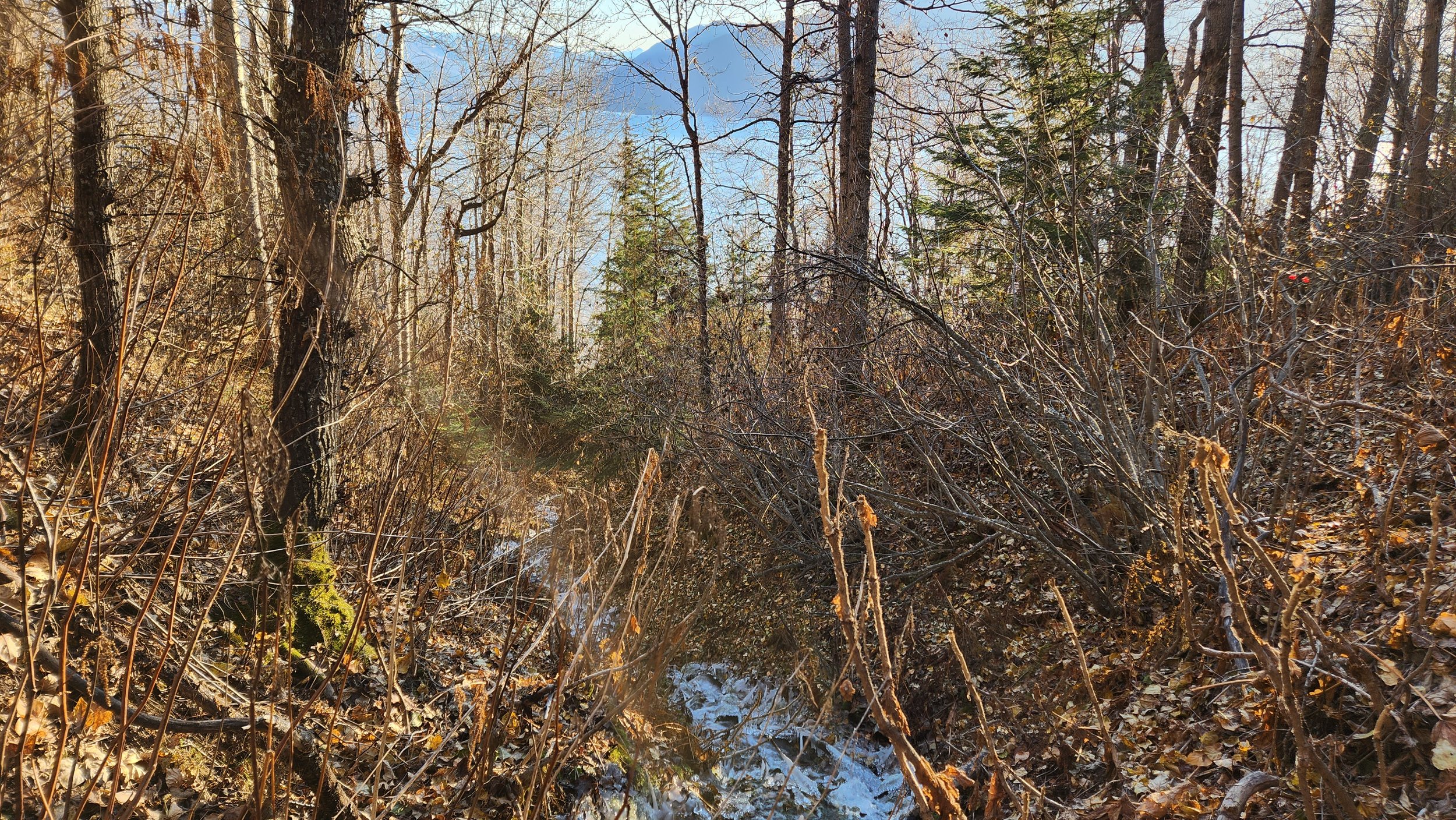 20231021_163531.jpg