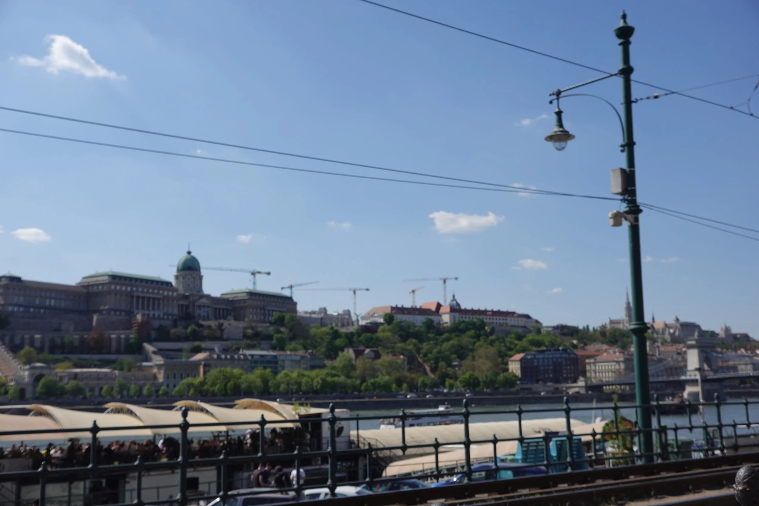 DSC01161.JPG