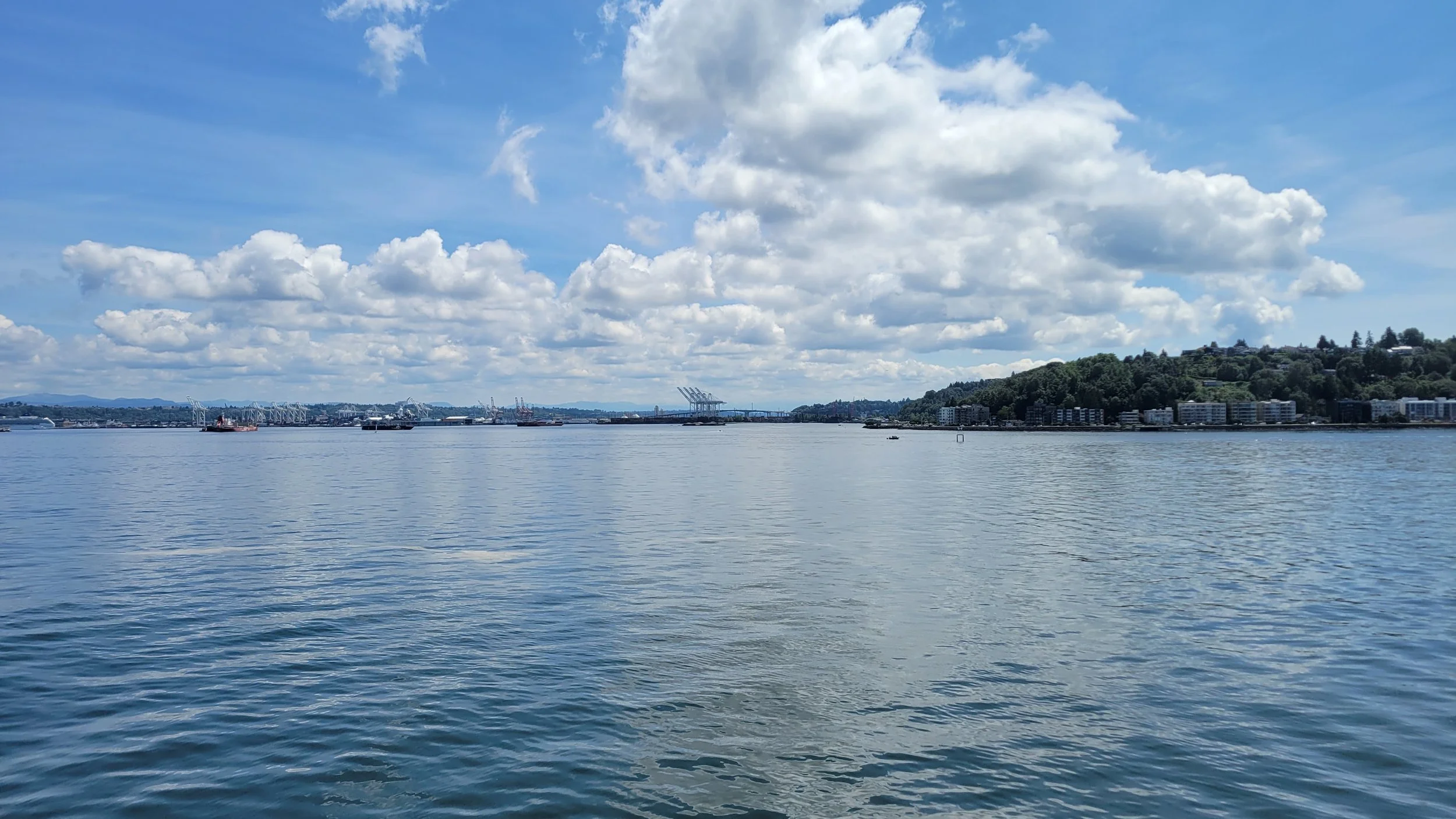 20220710_133113 - Copy.jpg