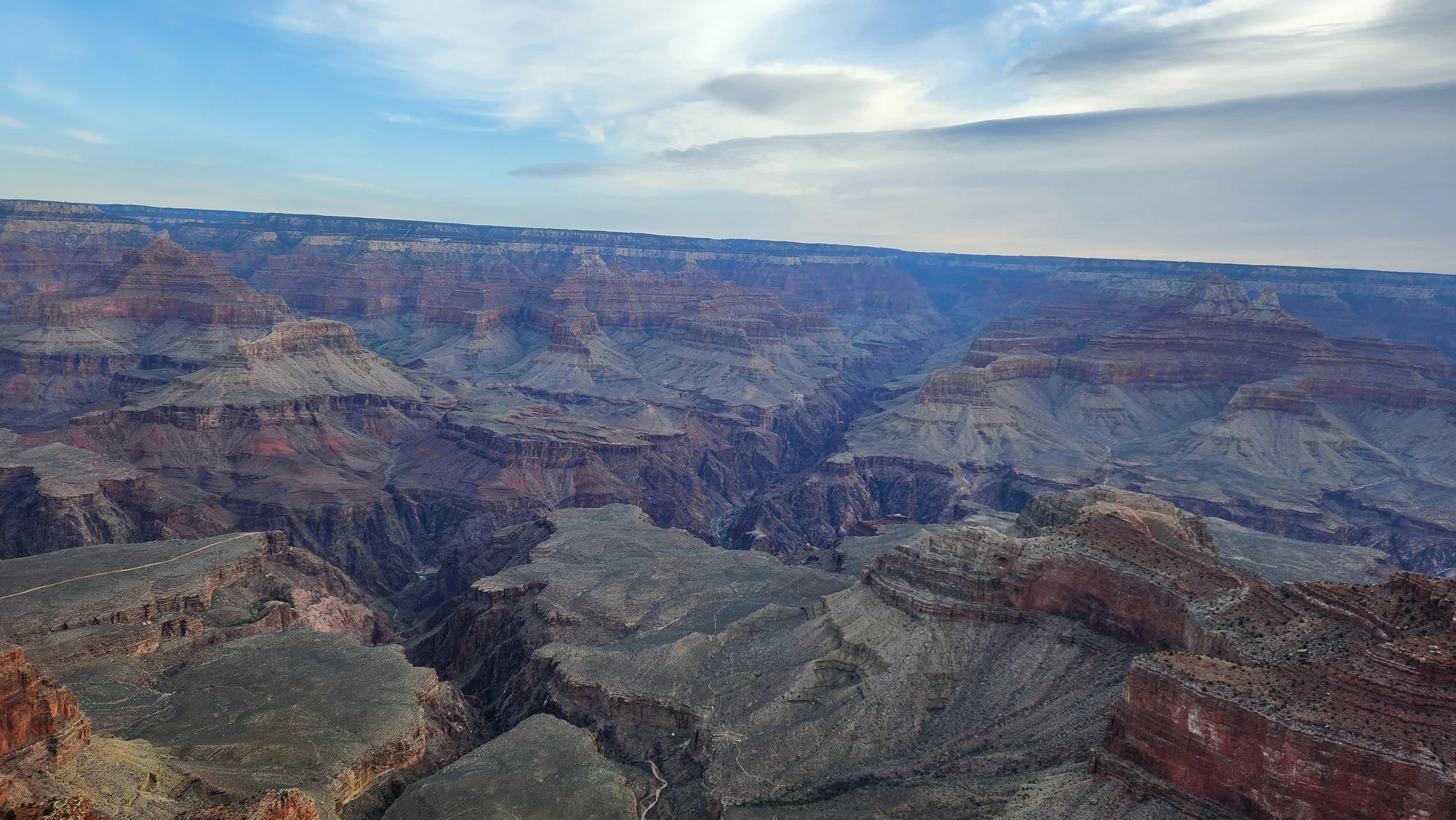 20250329_071916.jpg
