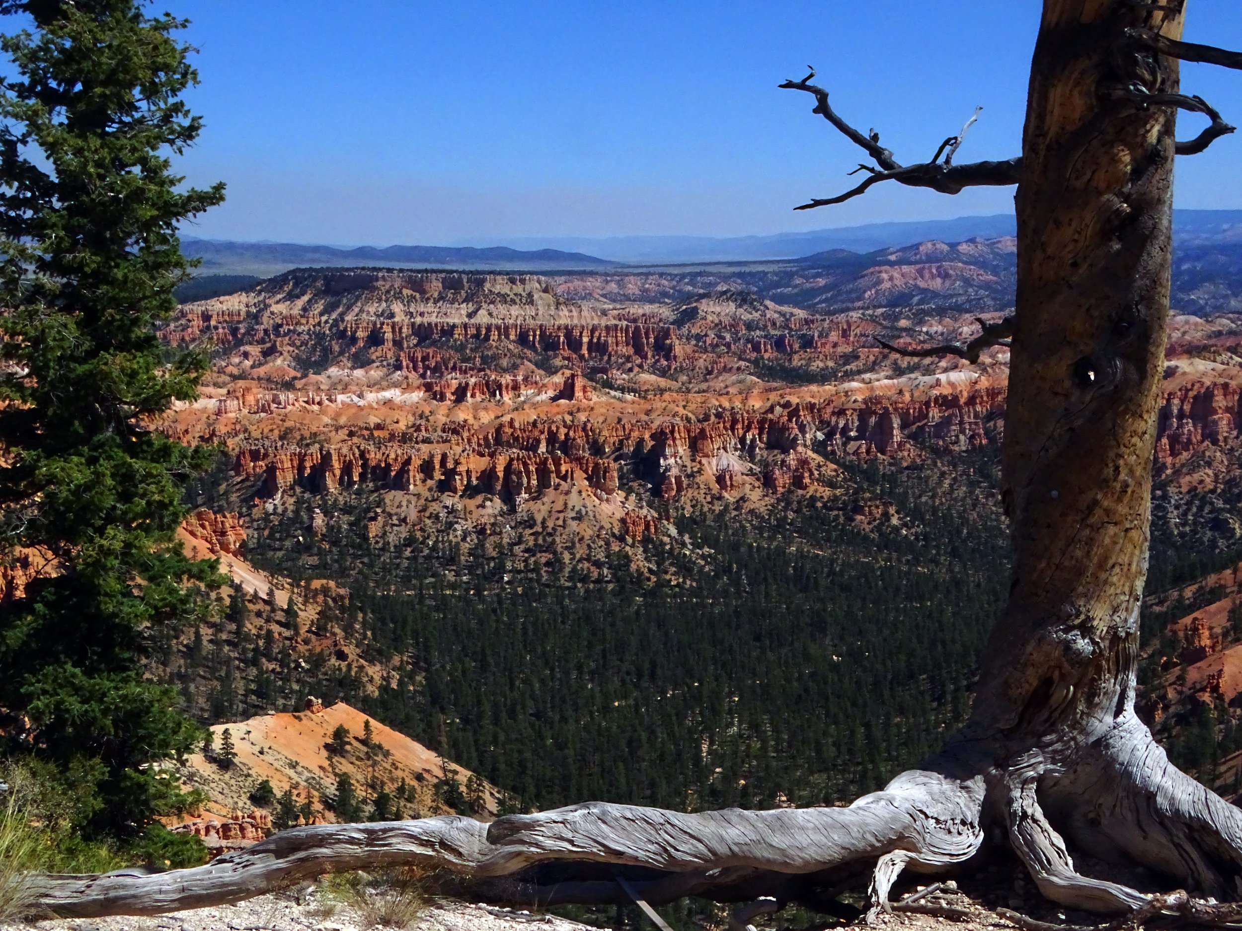 "Hoodoo"