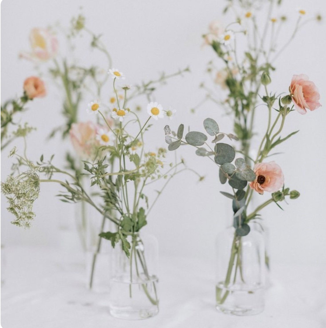 Clear Glass Bud Vase (Small)