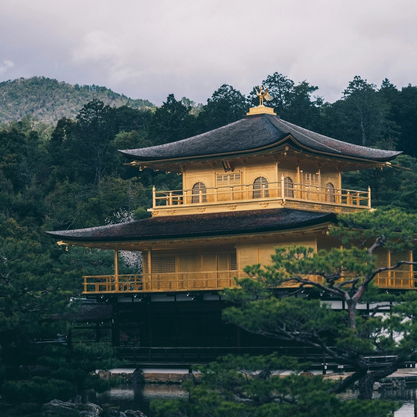 unsplash-image-7e1kh1WlKAo.jpg