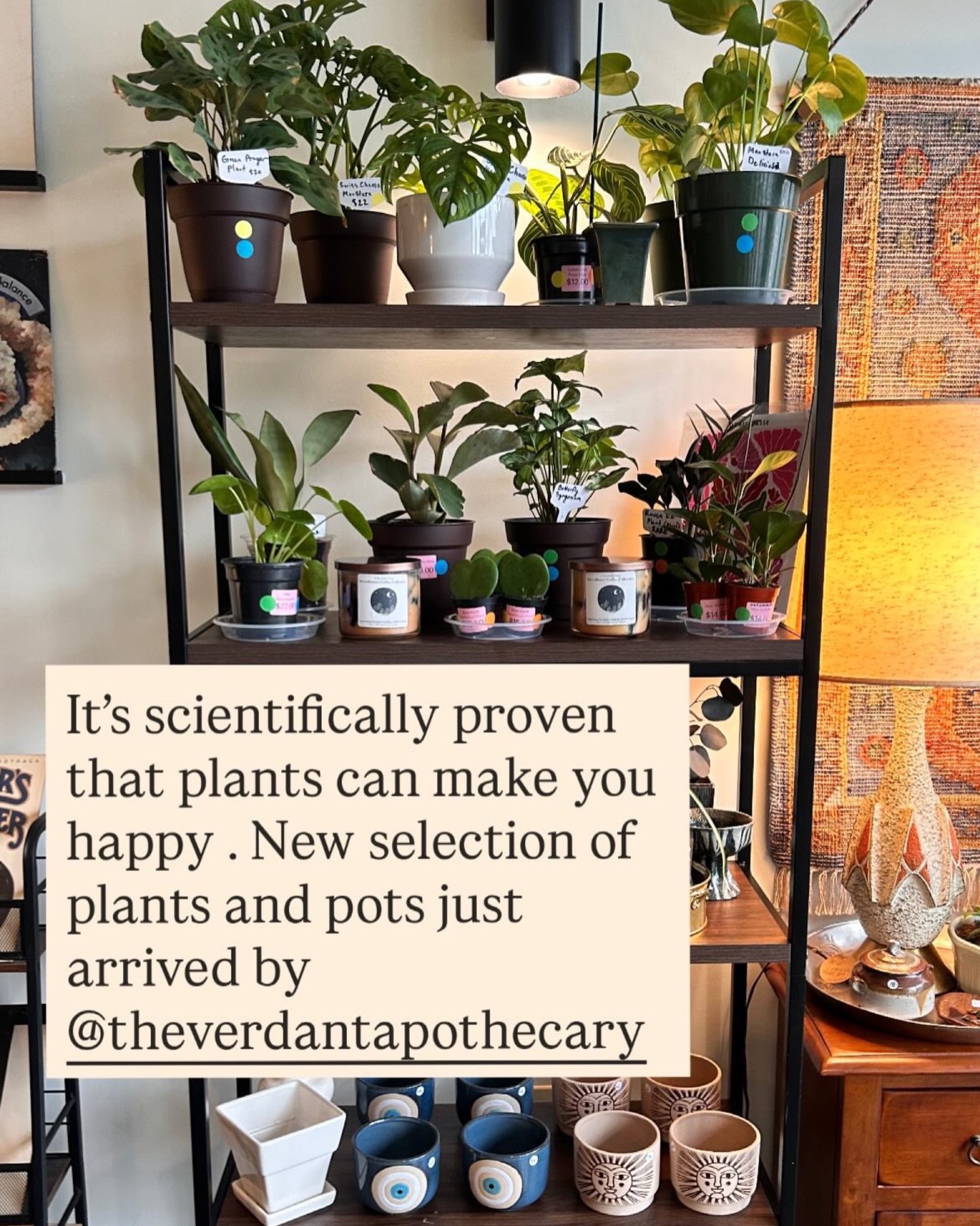Moonflower Coffee Collective is the one stop shop for coffee, vintage, crafts, community, delicious lemon blueberry scones, and now plants! Don&rsquo;t forget to stop by the Cincy Book Bus Depot, right next door, to find shelves of books to browse&md