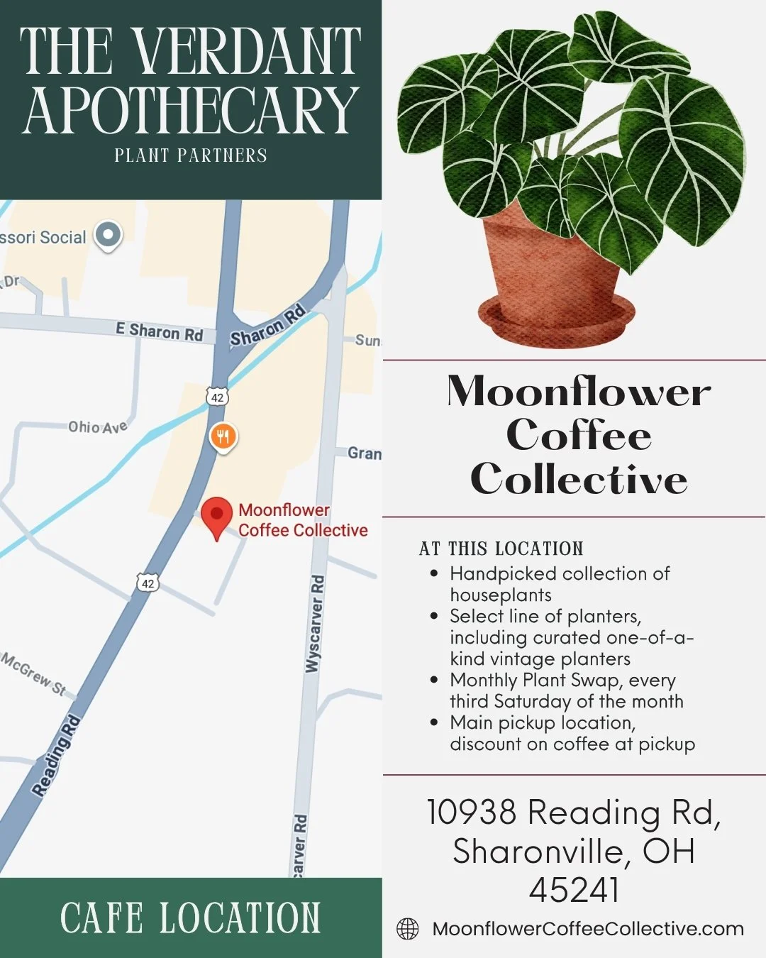 Plant Partner Spotlight: Moonflower Coffee Collective ☕️🌿
 Our favorite cozy cafe hosts a rotating mini-jungle&ndash; handpicked houseplants plus a curated line of planters (including one-of-a-kind vintage finds supplied by Real Life Curated). It&rs