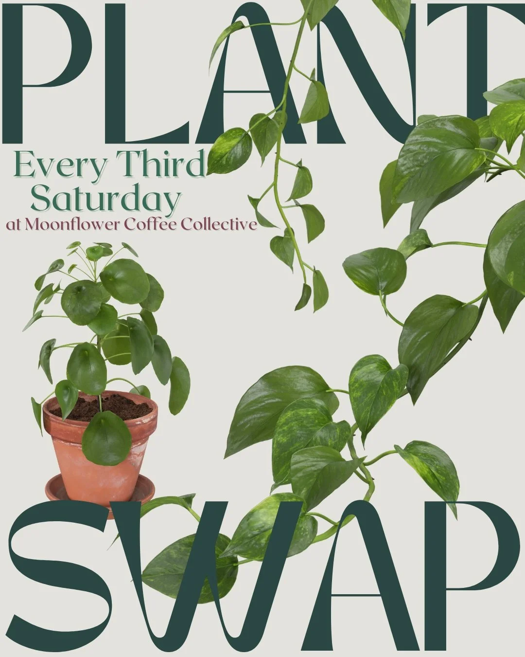 Plant Swap TODAY! 🌿 Sat, Nov 15, 2025 &bull; Moonflower Coffee Collective (seating area)
Bring a plant, take a plant, and meet some leafy new friends&mdash;then warm up with a hot latte on this chilly morning. See you there! ☕️💚
.
.
.
.
.
.
.
.
#Pl