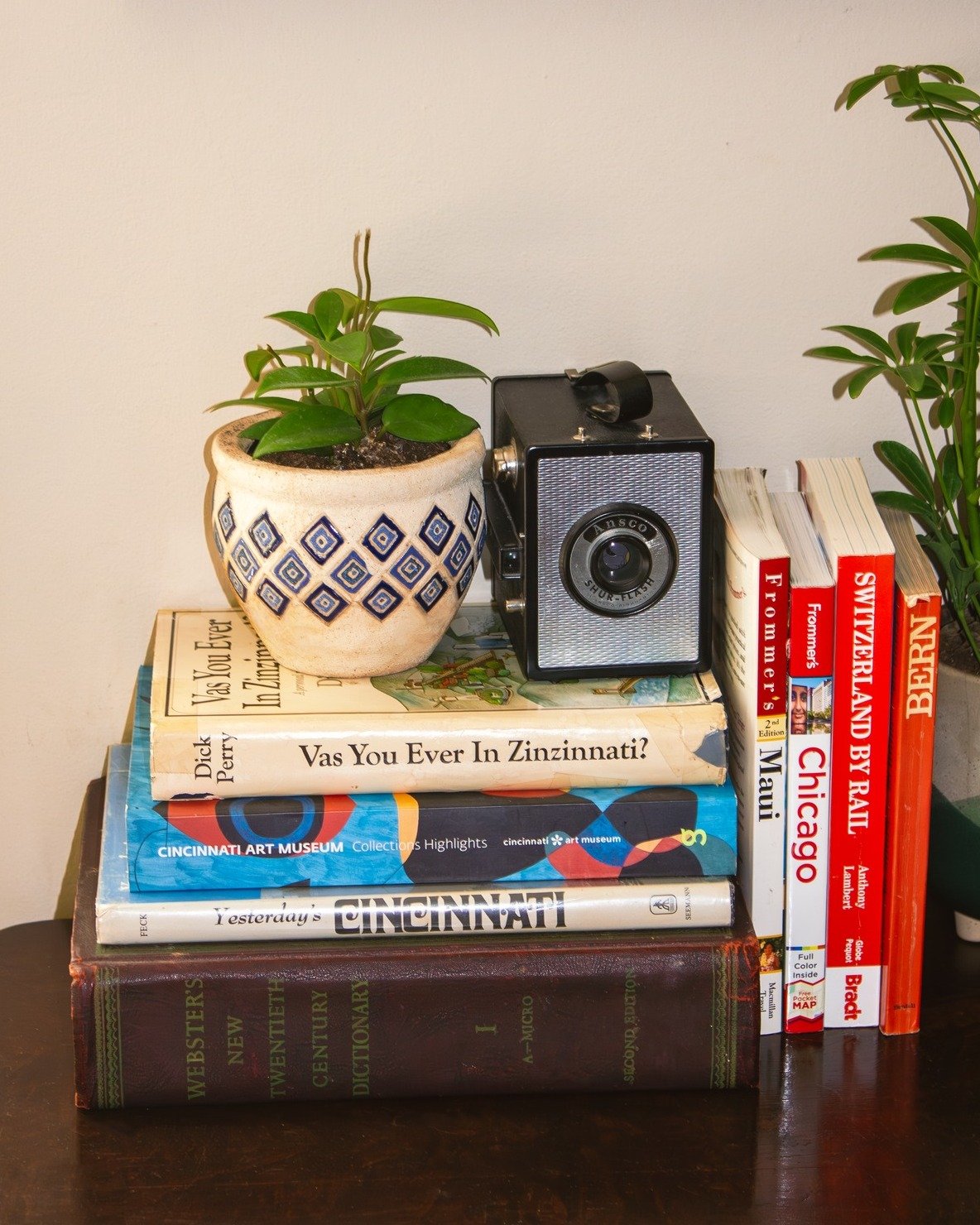 Hoya carnosa (aka Wax Plant)✨ thick, glossy leaves now, clusters of sweetly scented star-shaped blooms later. Give it bright, indirect light and let it dry between sips; keep it a bit snug in its pot and watch those vines wander. picture-worthy today