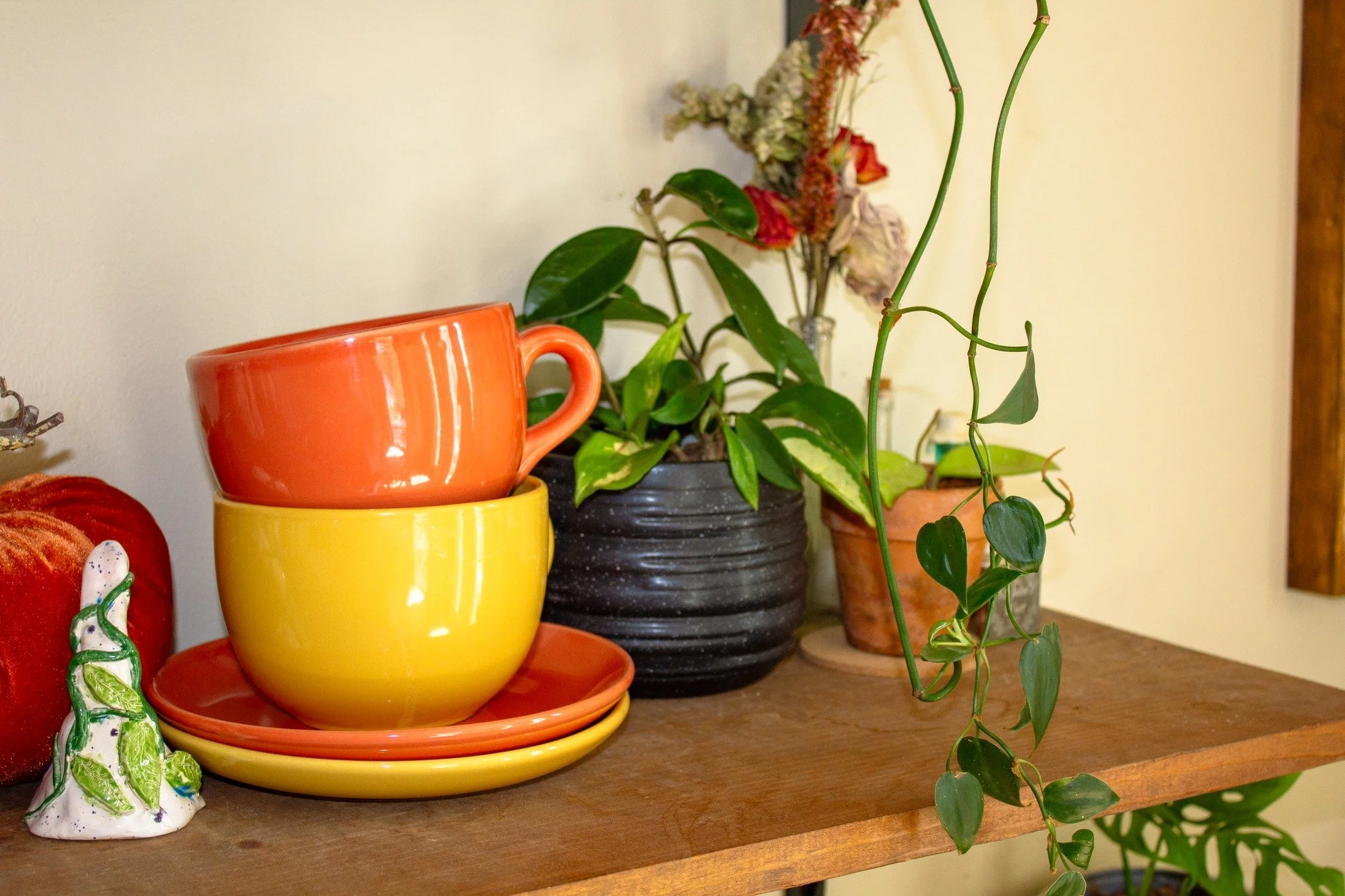 Vines for every direction 🌿&mdash;some love to climb up, some tumble down, and some wander right across the shelf. From sweet heart-shaped leaves to near-perfect little circles, these living travelers turn any nook into a tiny jungle. 
.
.
.
.
.
.
.