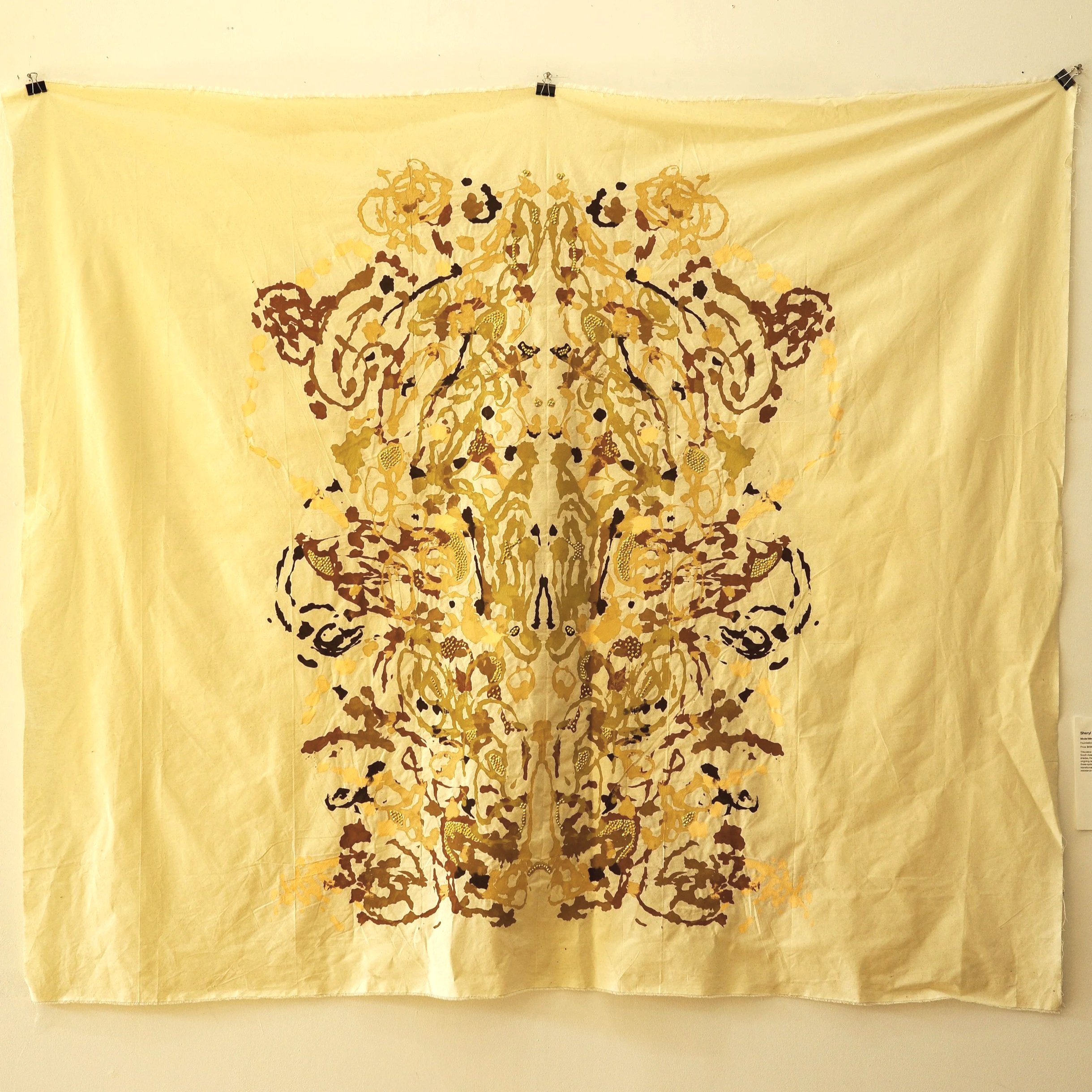 Sheryl Wadehra Model Minority 2025