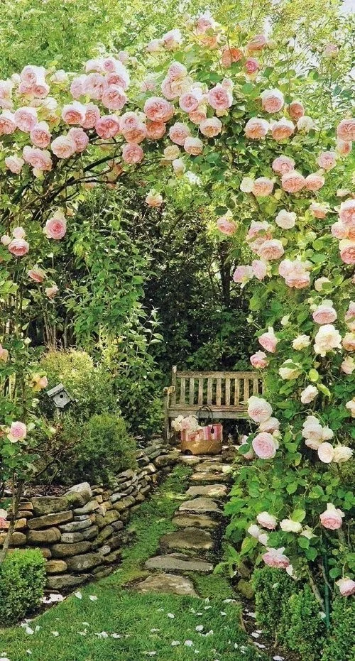 Rose Archway.webp