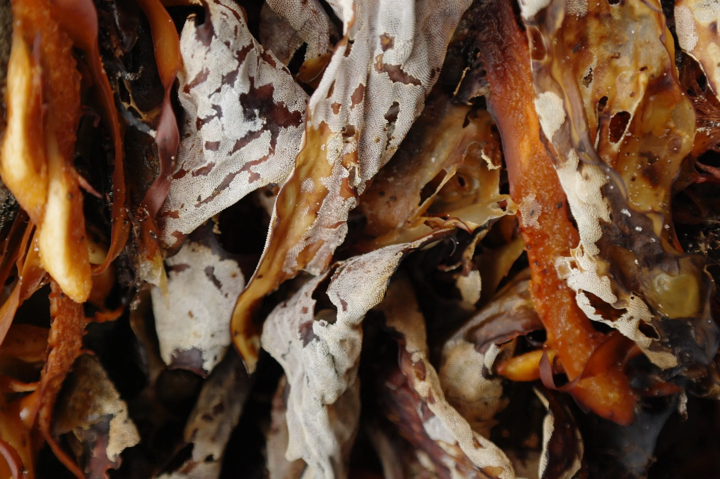 Communications Strategy & Narrative