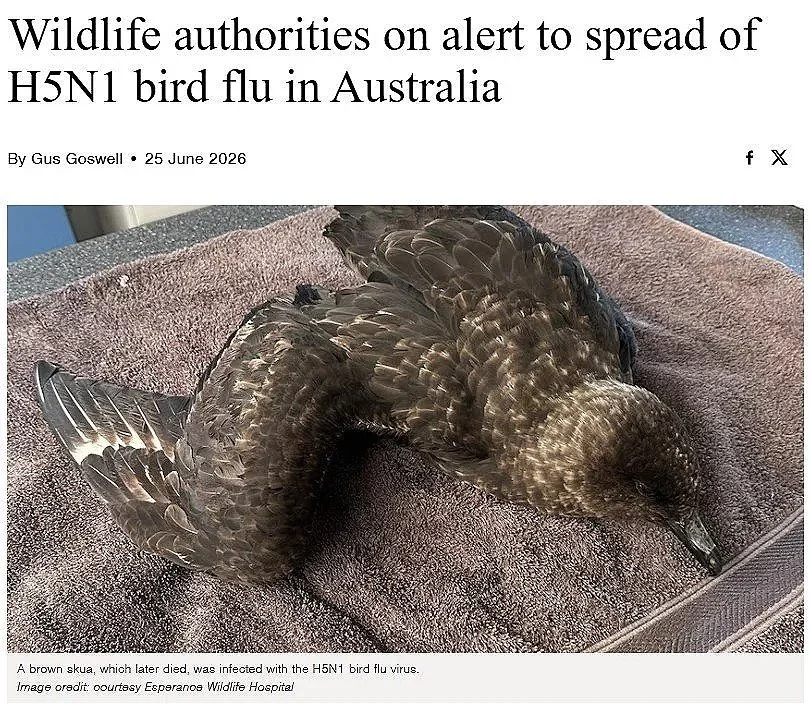 AG1.jpg