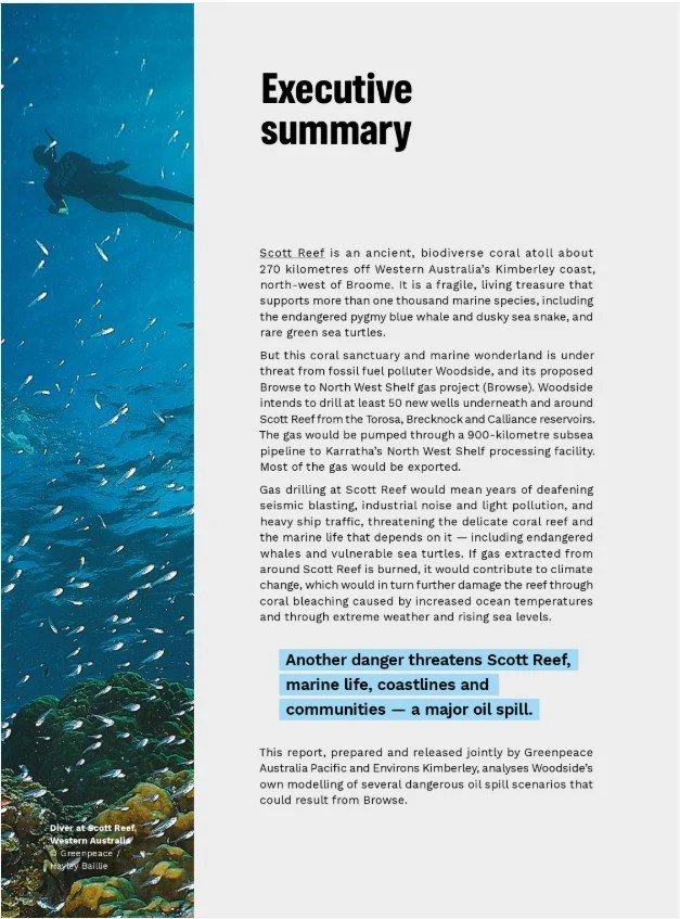 oil spill report summary.jpg