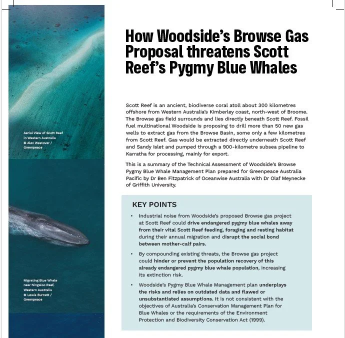 gpap expert report 3.jpg