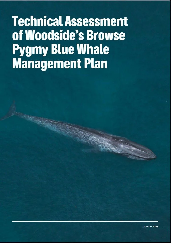 gpap expert report 2.jpg