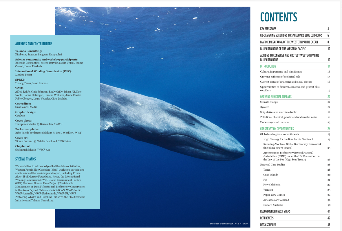 wwf report 2.png