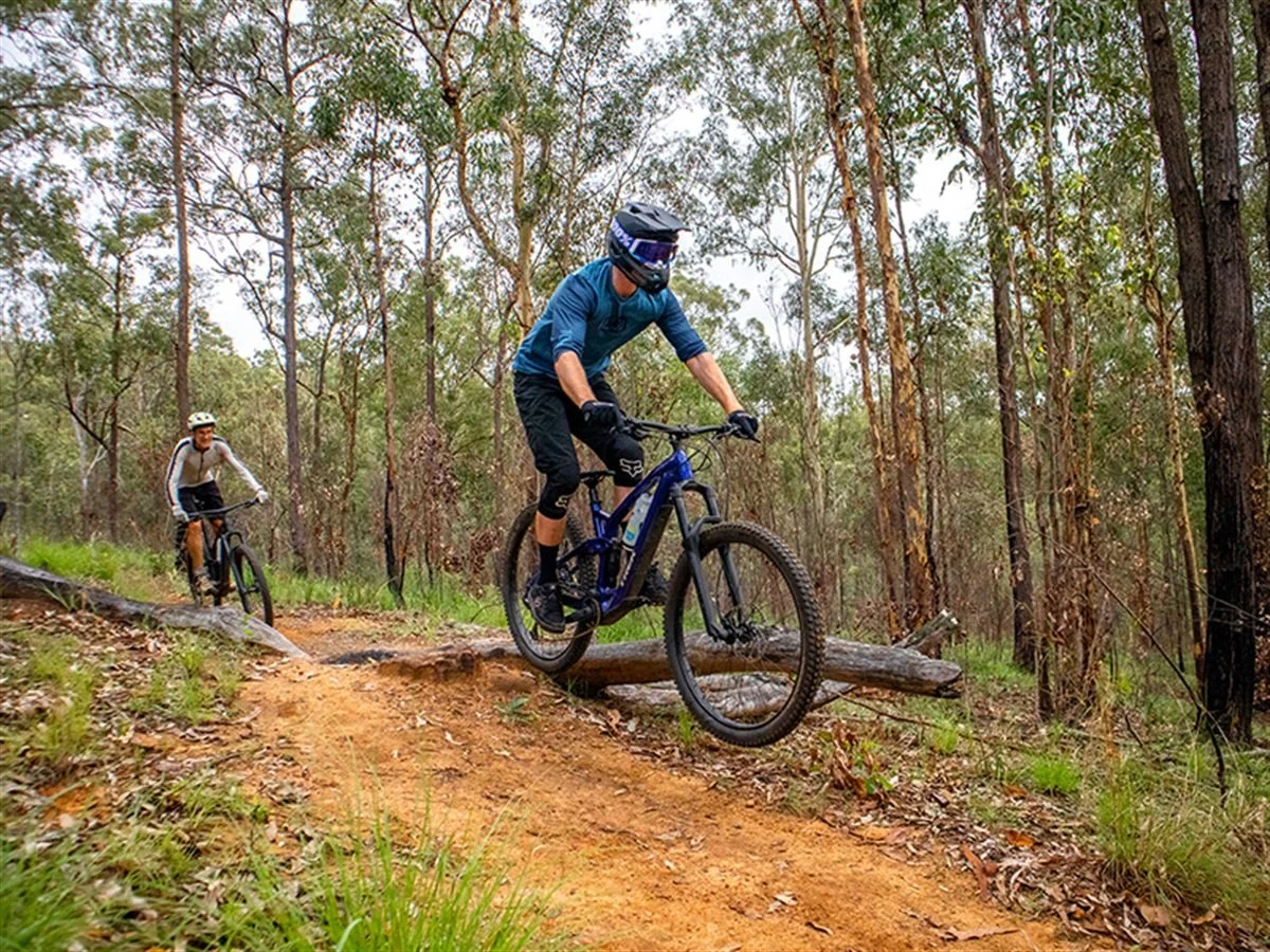 Two mountain bikers riding on a dirt trail in a forest, one in a blue shirt and black shorts, the other in a white shirt and black shorts, with trees and greenery around.