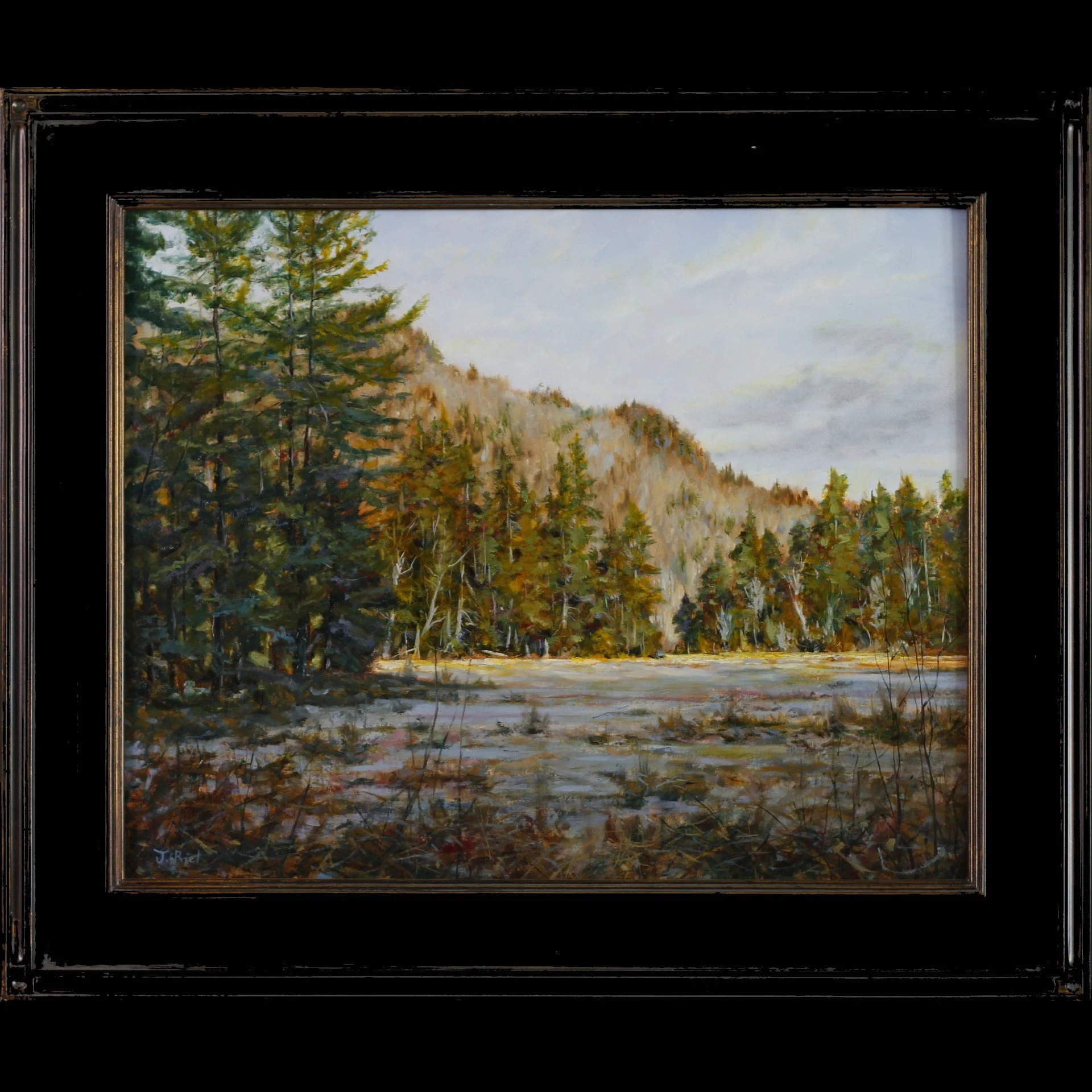 Amy's Park (Framed) - 16x20.jpg