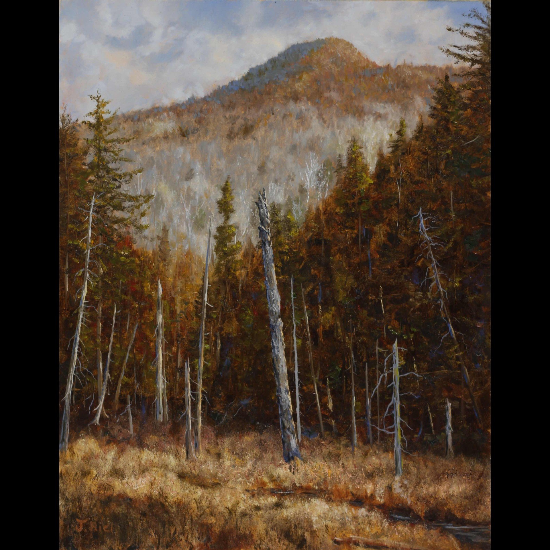 Wolf Pond Mountain (11x14")