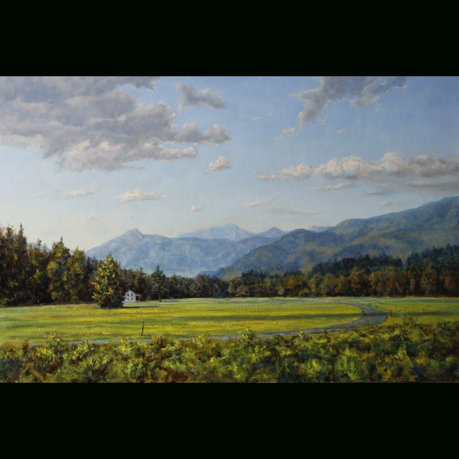 Marcy Field 20x30.jpg
