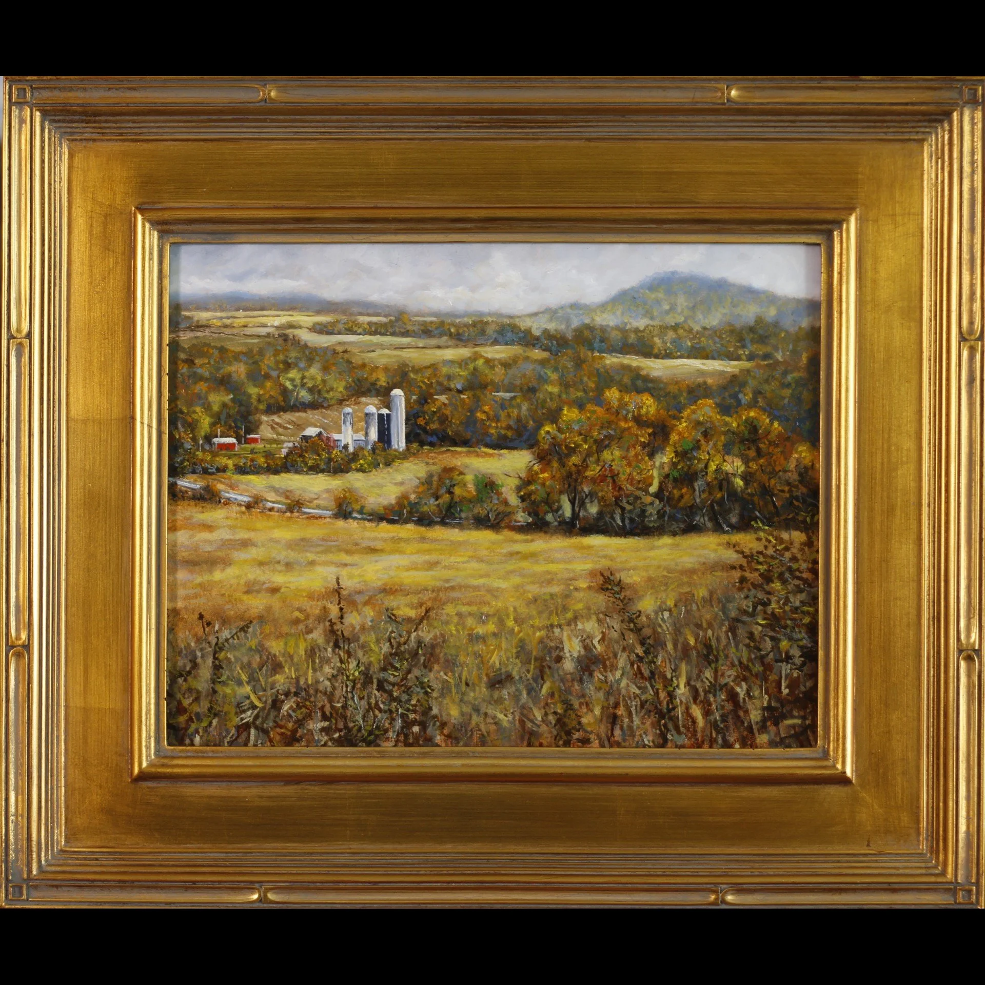 Archdale Farm 11x14 (framed).jpg