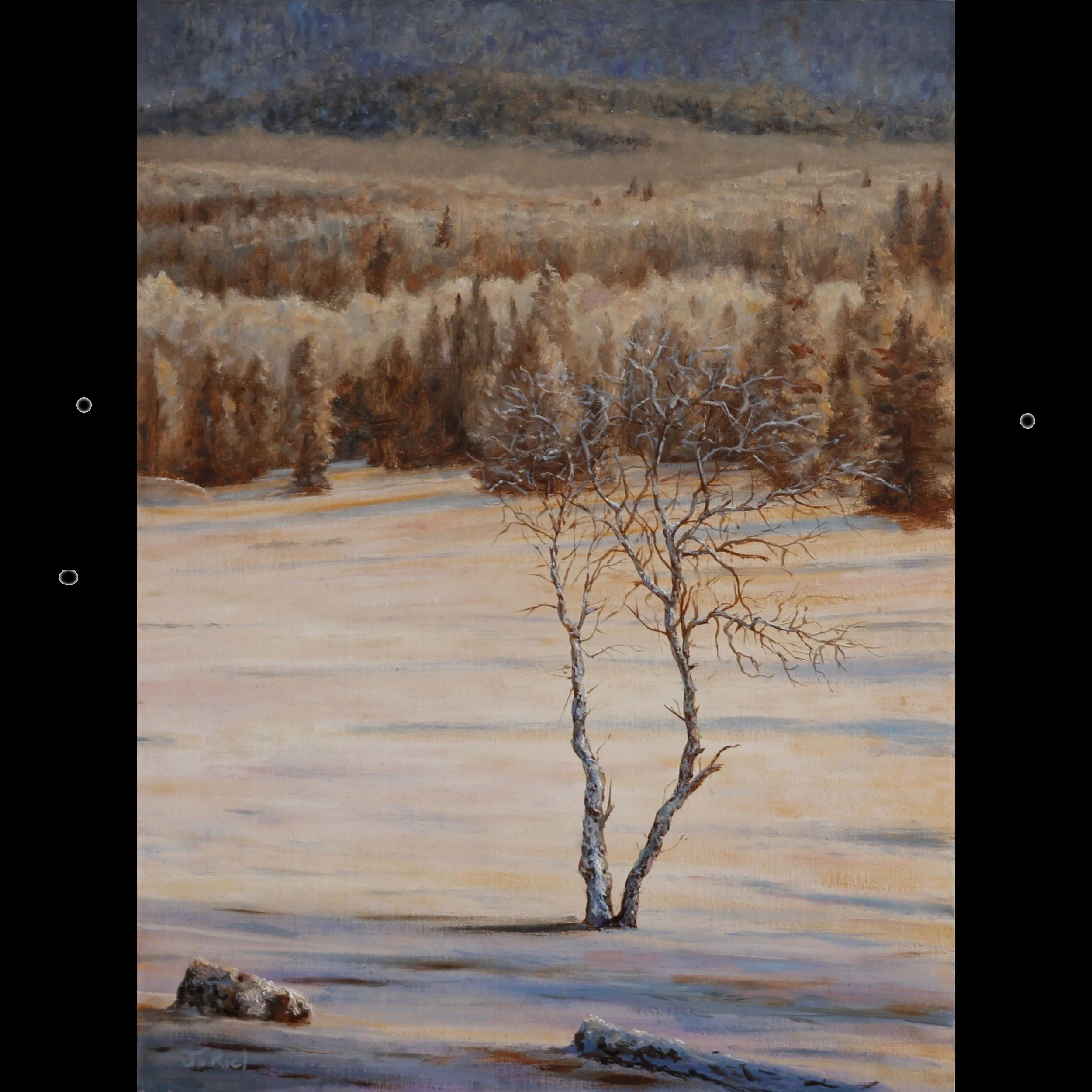 Available Paintings — J. Riel Art