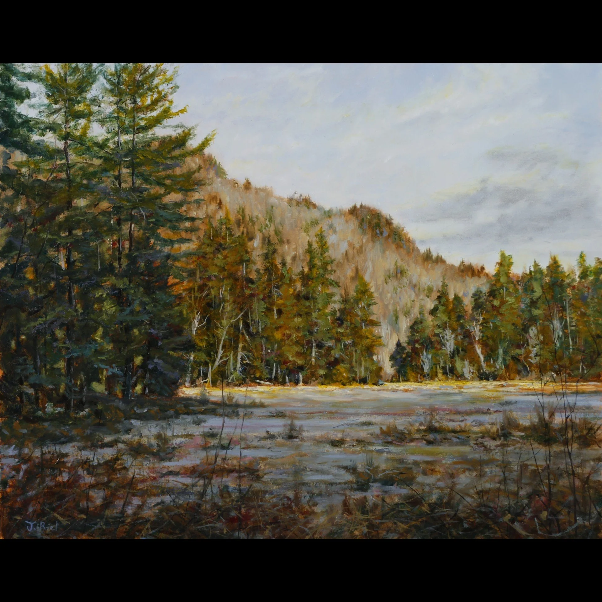 Amy's Park - 16x20.jpg