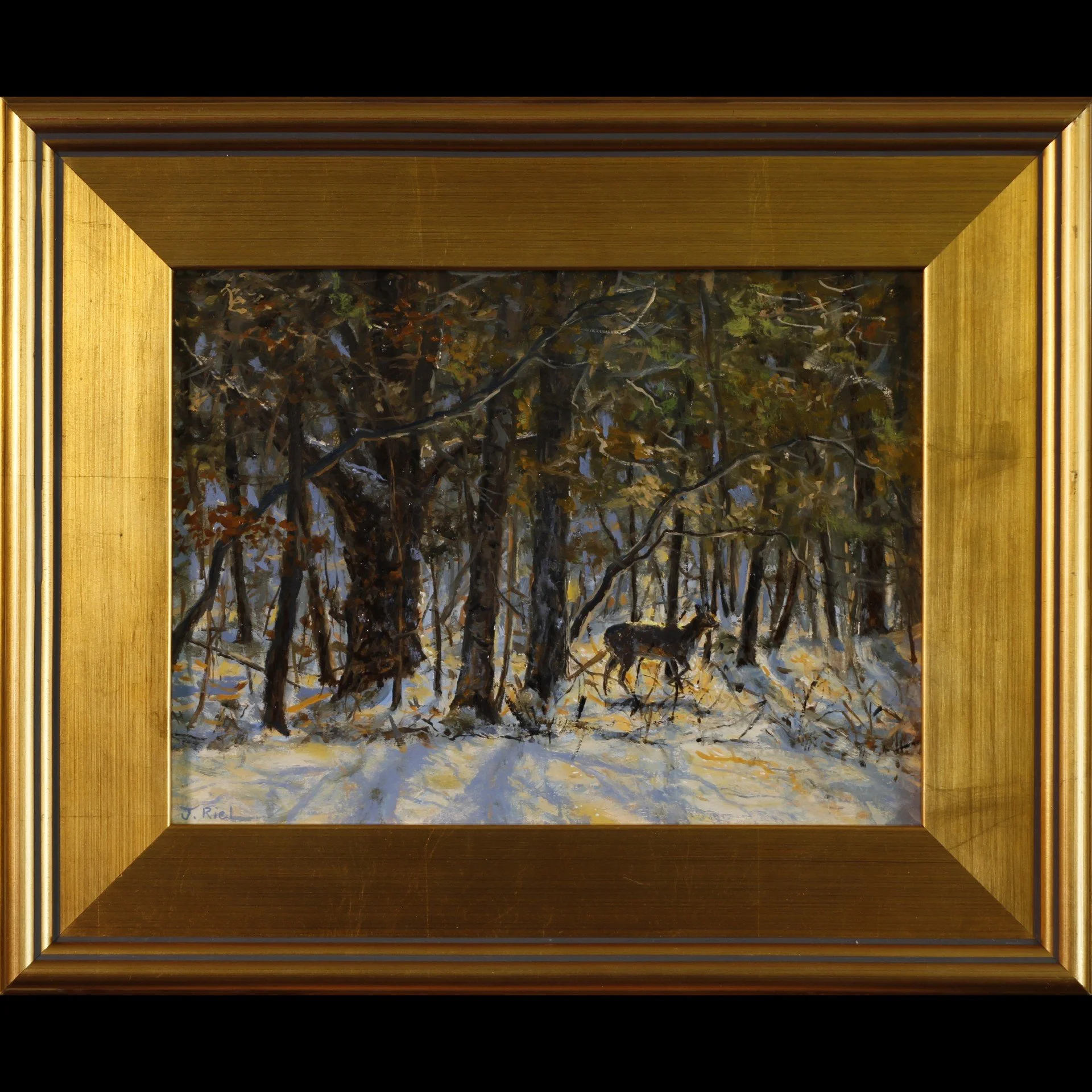 The Backyard Visitor (framed).jpg