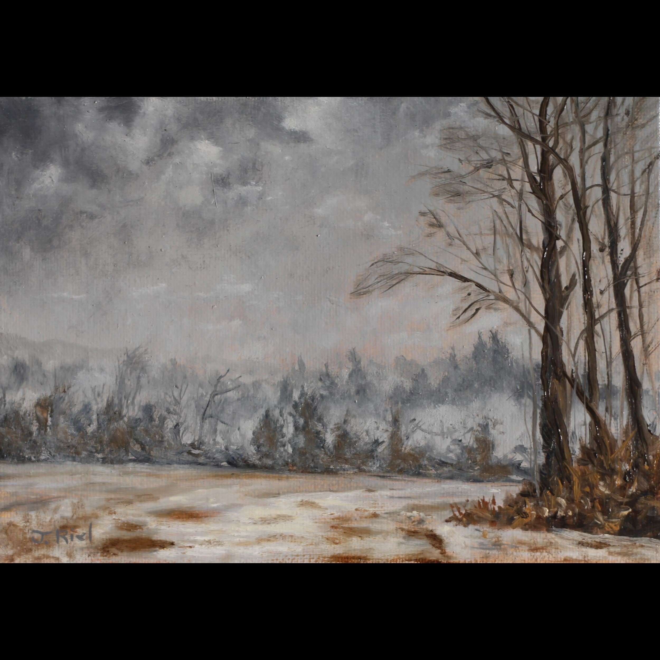 January Fog.jpg