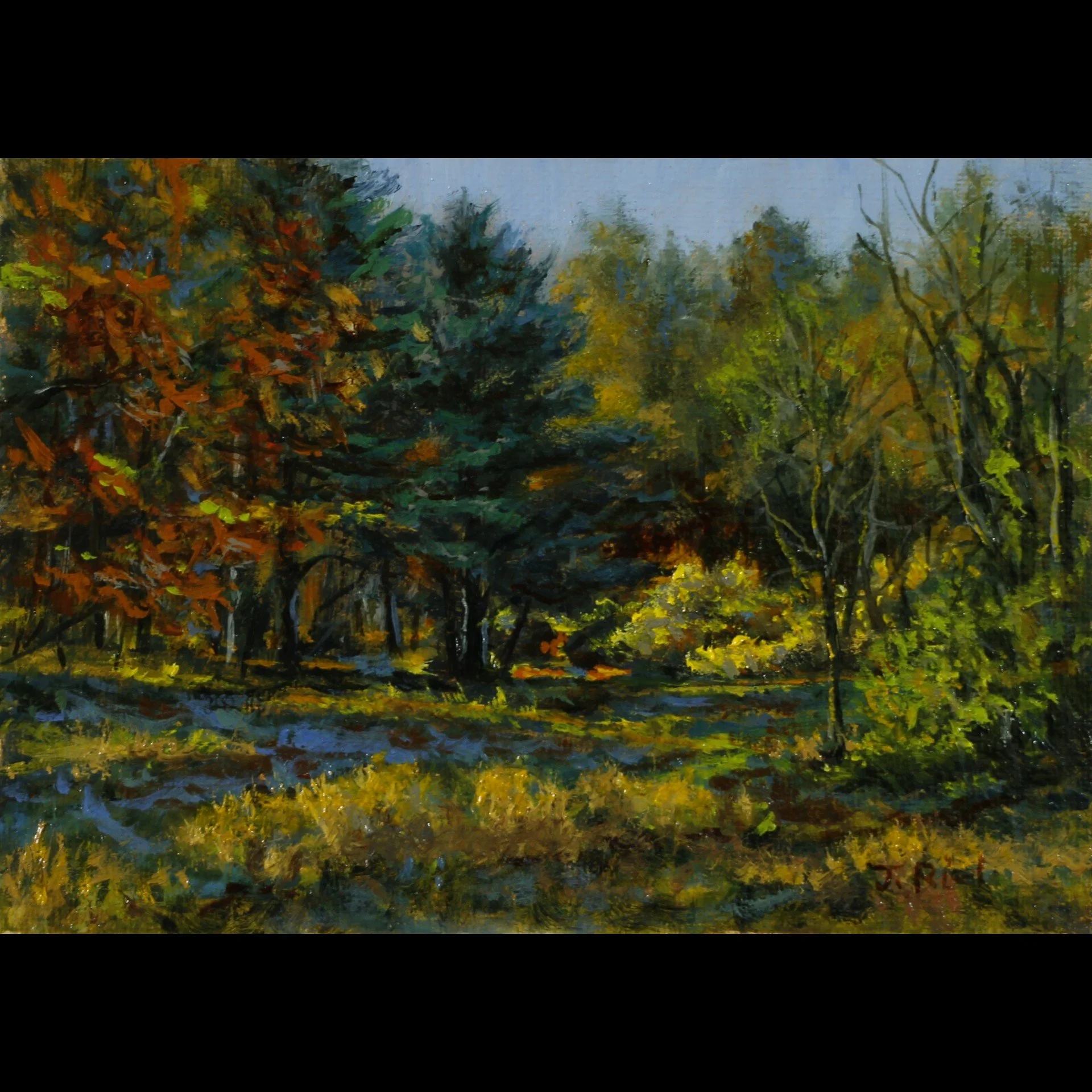 That Sunday Morning Light (5x7")