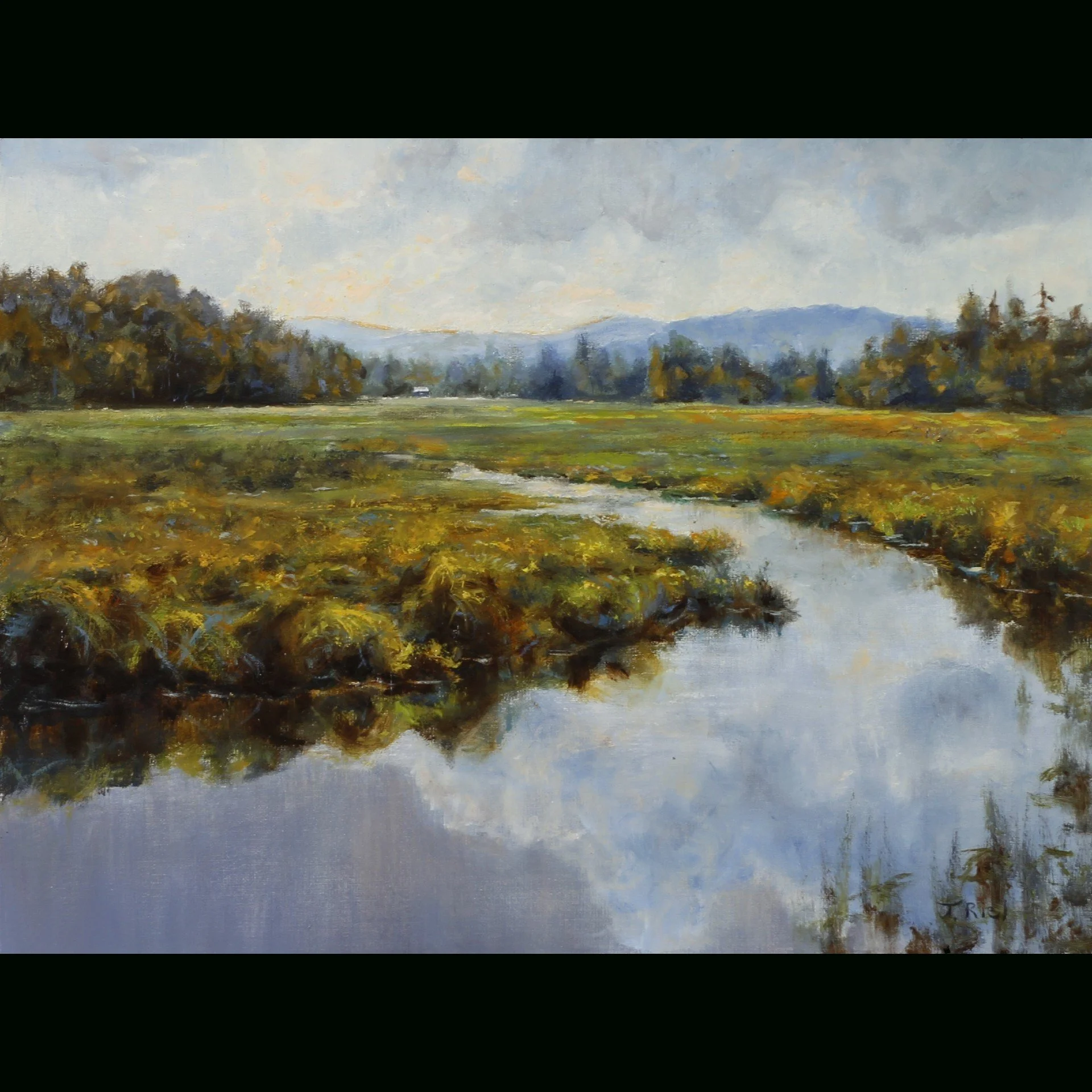Alder Creek, Schroon Lake 9x12.jpg