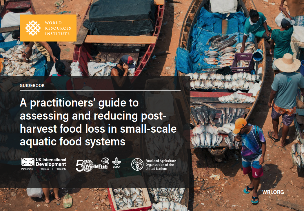 Reducing Losses and Rescuing Value in Small-Scale Fisheries