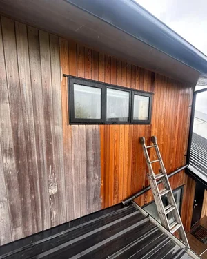 Cedar Washing