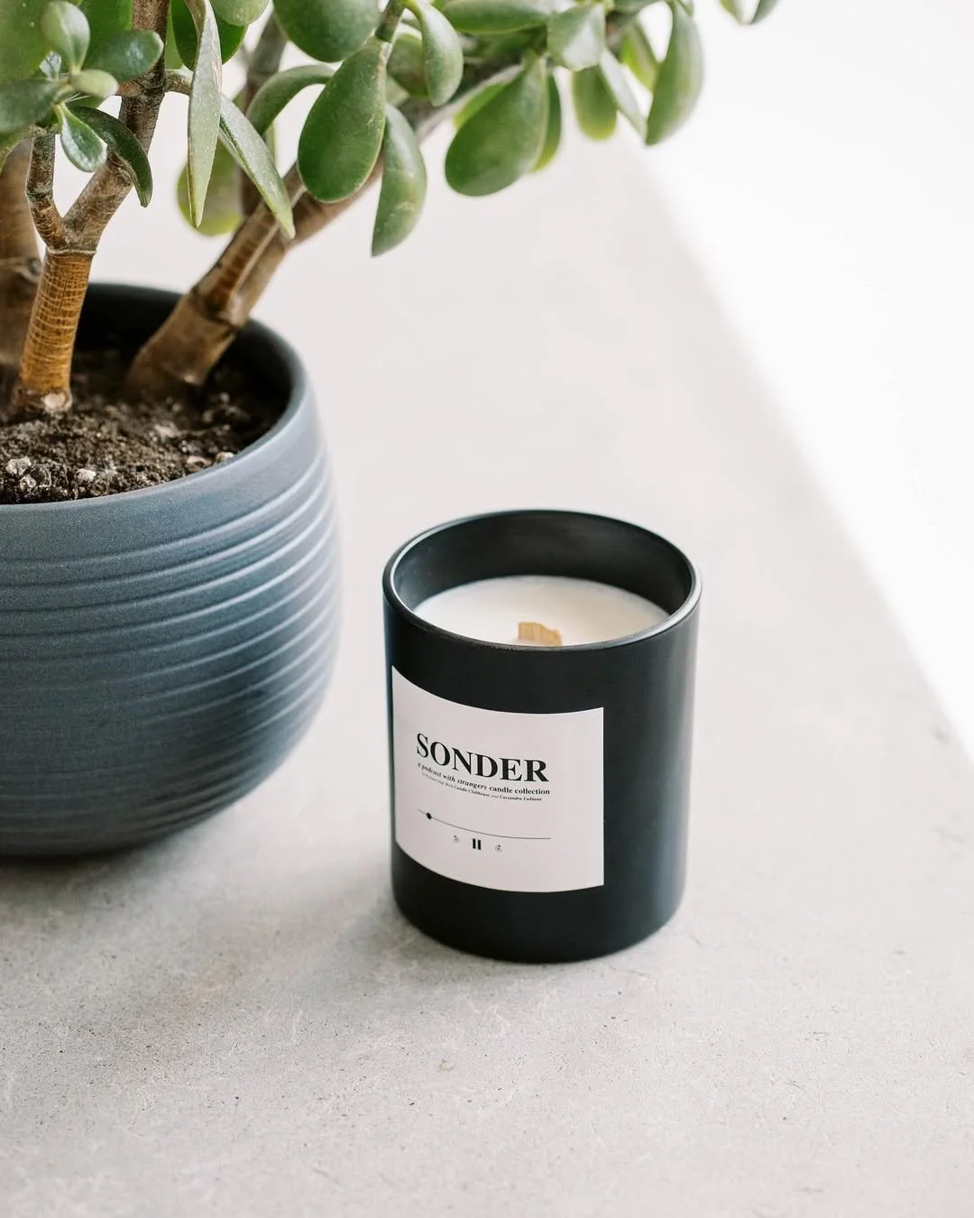 307636974_400237552307967_8708265385824674475_n (1).jpg