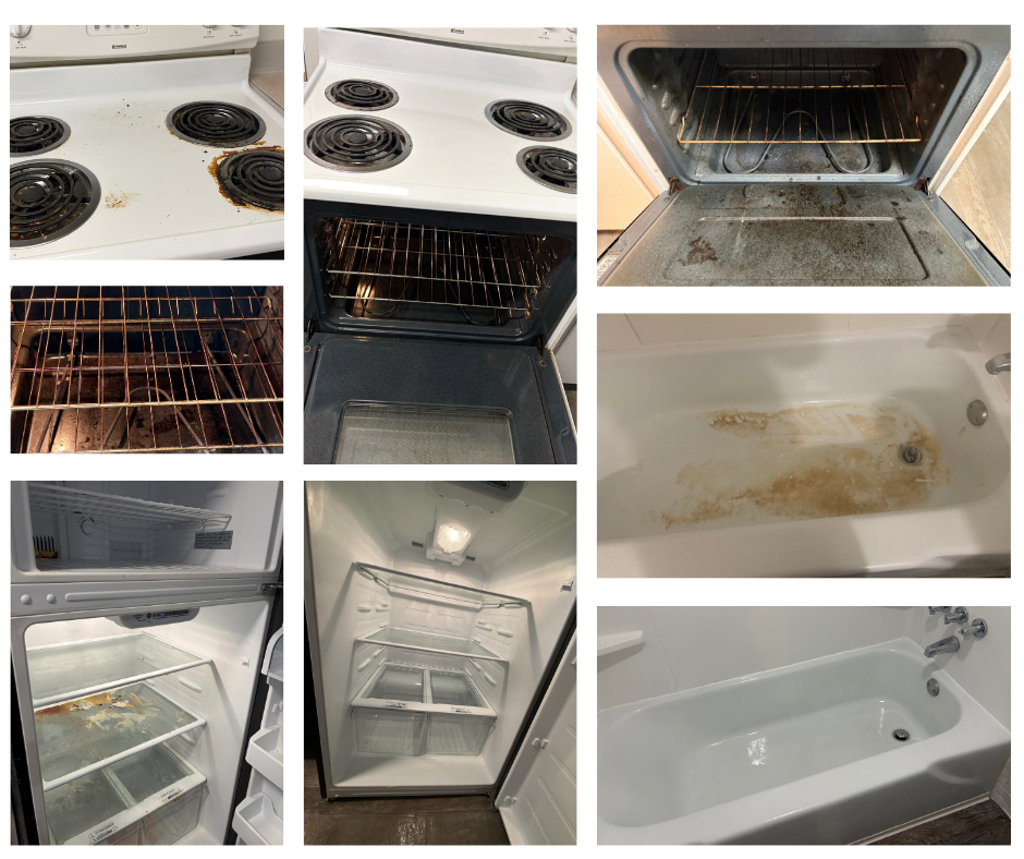 Spring Awakening: Prepare Your Savannah Home for the Season of Renewal