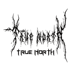 True North Collective Testimonial Logos.png