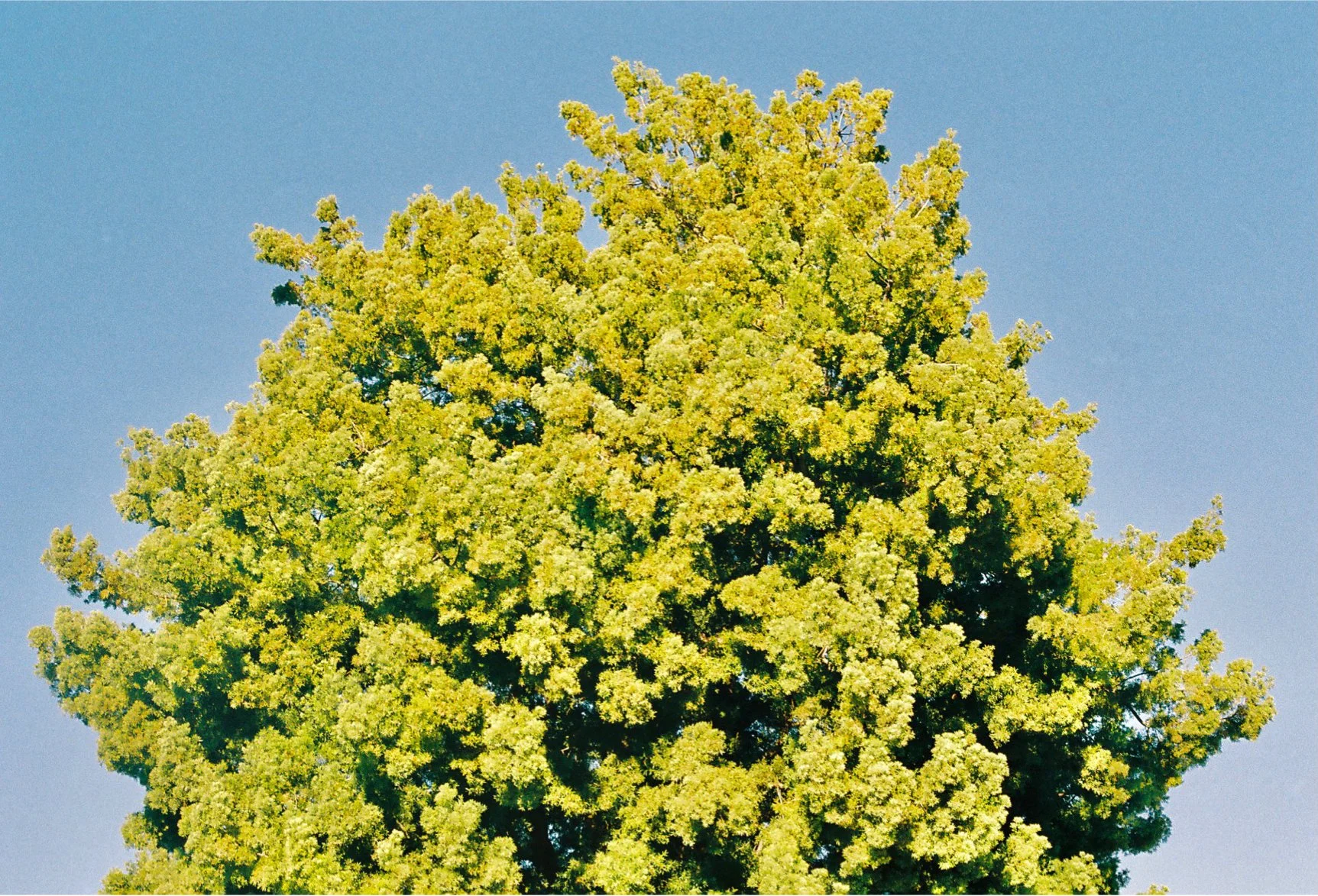 photo-output_3 2.jpg