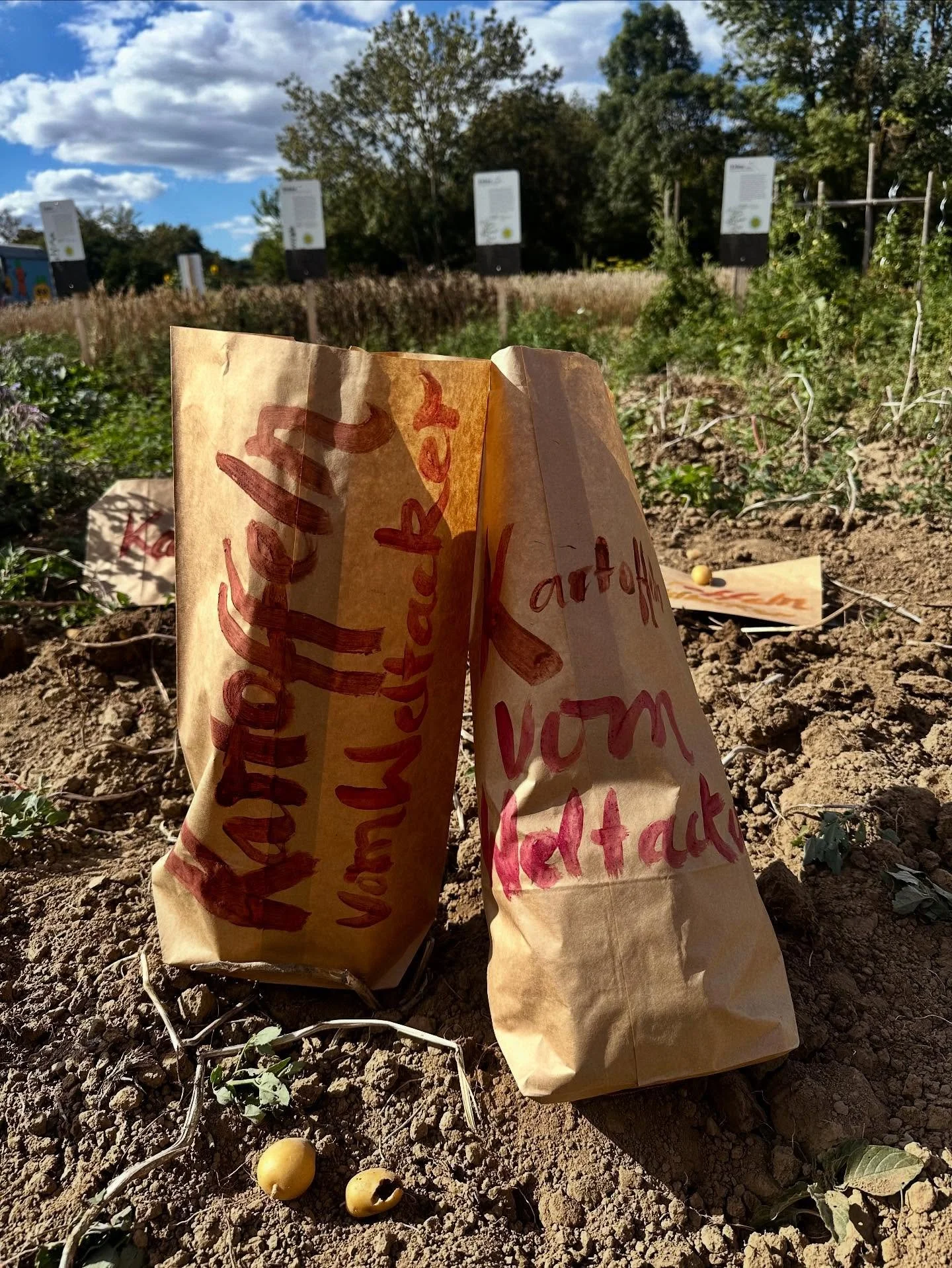 Einladung zur Weltacker-Sitzung

Liebe Interessierte,
unser n&auml;chstes Weltacker Treffen findet statt - kommt vorbei und macht gerne mit! Wir reflektieren das Ackerjahr und planen das n&auml;chste 👩🏻&zwj;🌾

Wann: am Montag 13.10.2025 um 19.30 U