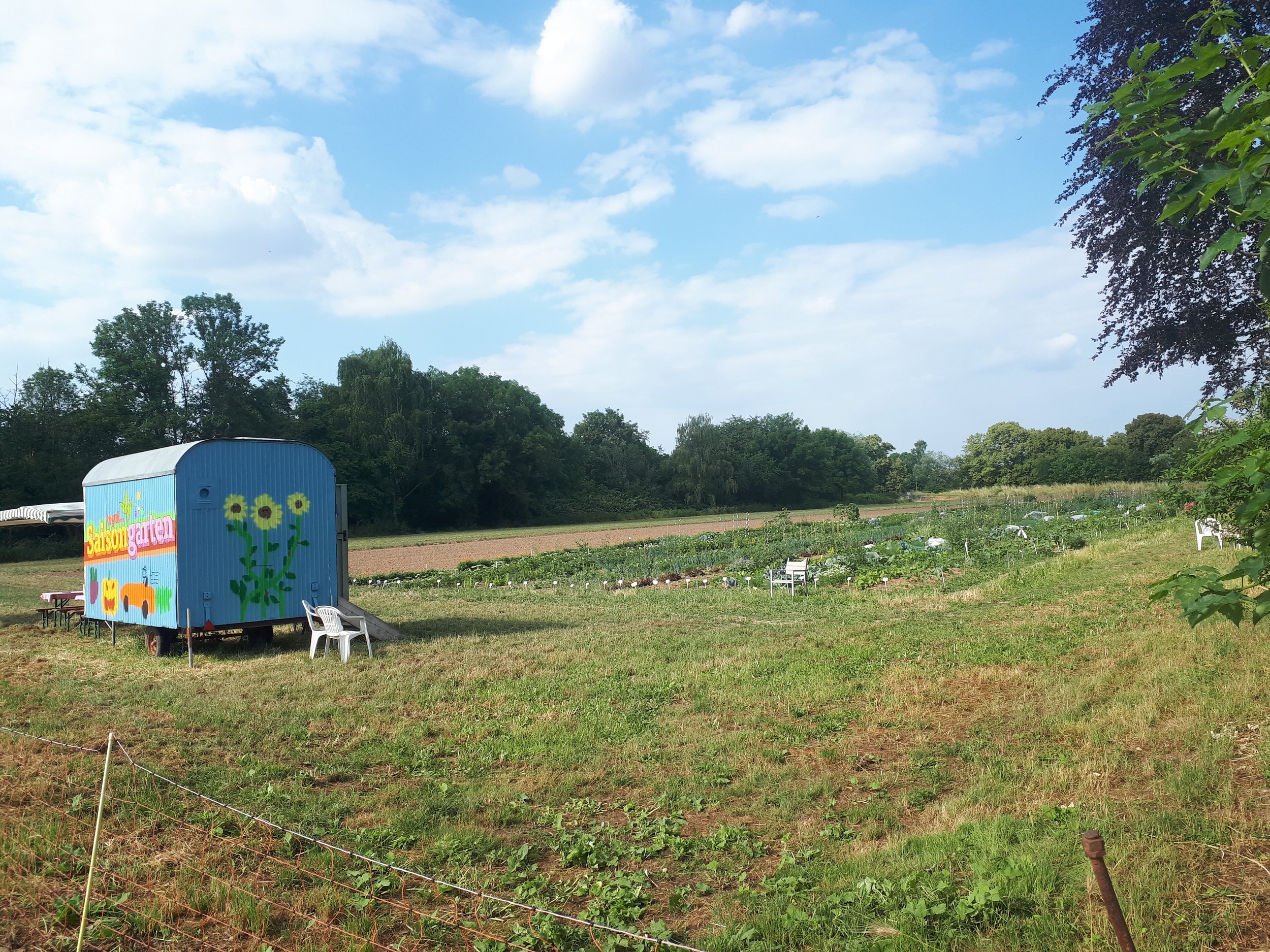Info Veranstaltung Saisongärtner*innen
