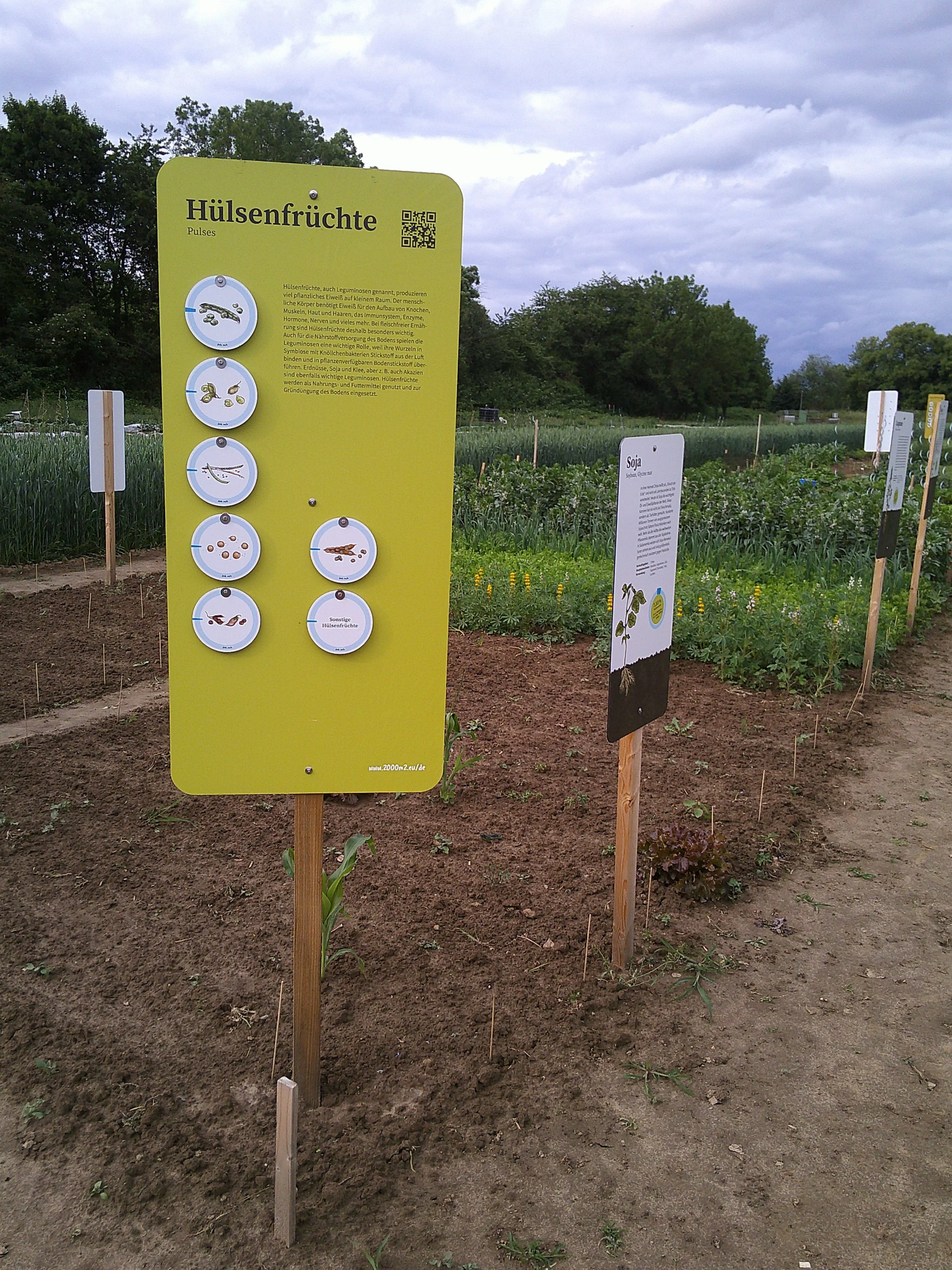 Internationaler Tag der Hülsenfrüchte