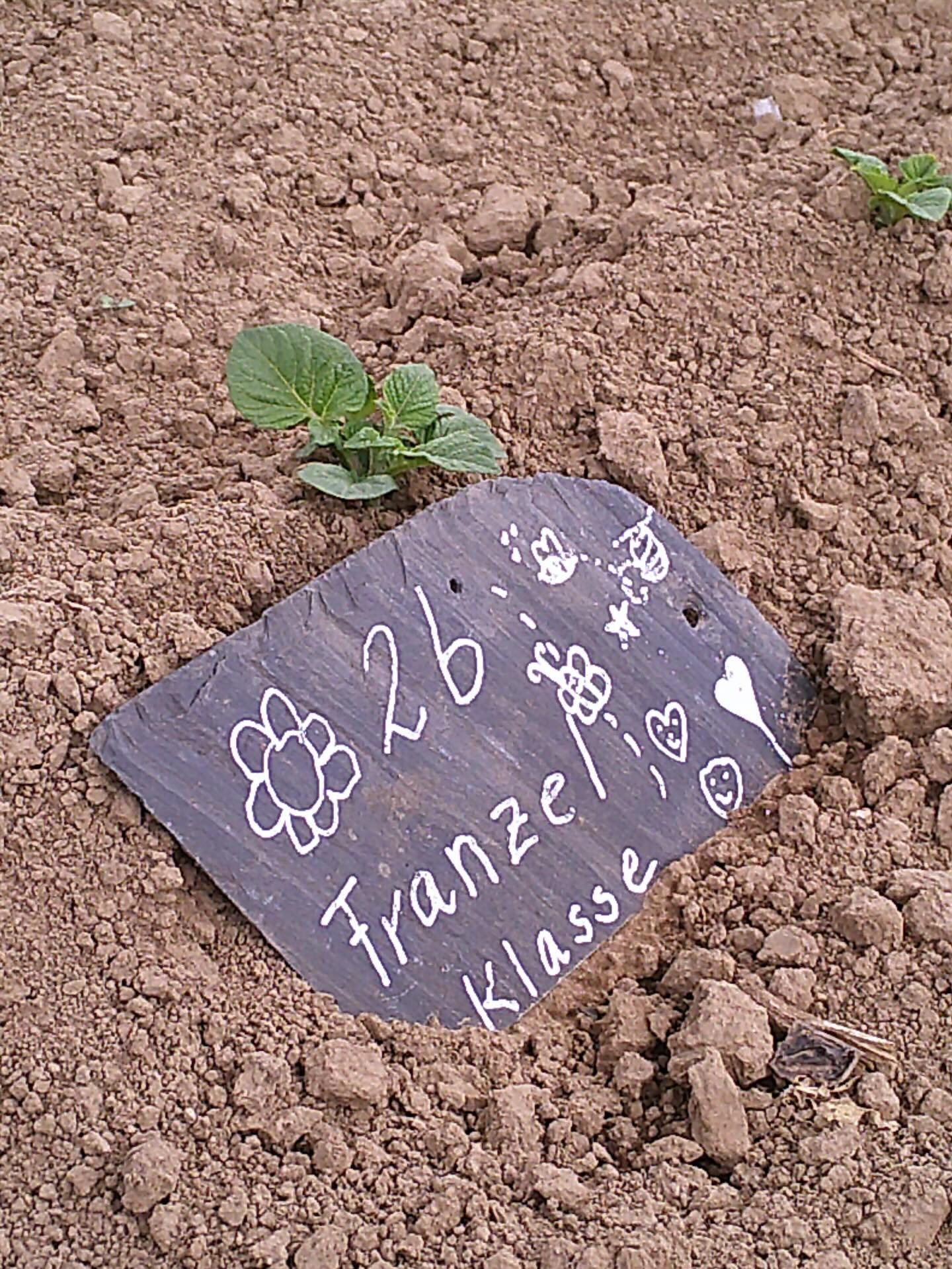 Online Projektvorstellung &bdquo;Der Weltacker Wetterau - ein Bildungsort&ldquo;

Am 13.3.2026, 18:00 - 18:45 Uhr 

In der Online-Veranstaltung der Reihe NABU am Freitag zeigt der Weltacker Wetterau Fotos aus dem Weltackerjahr 2025, erkl&auml;rt die 
