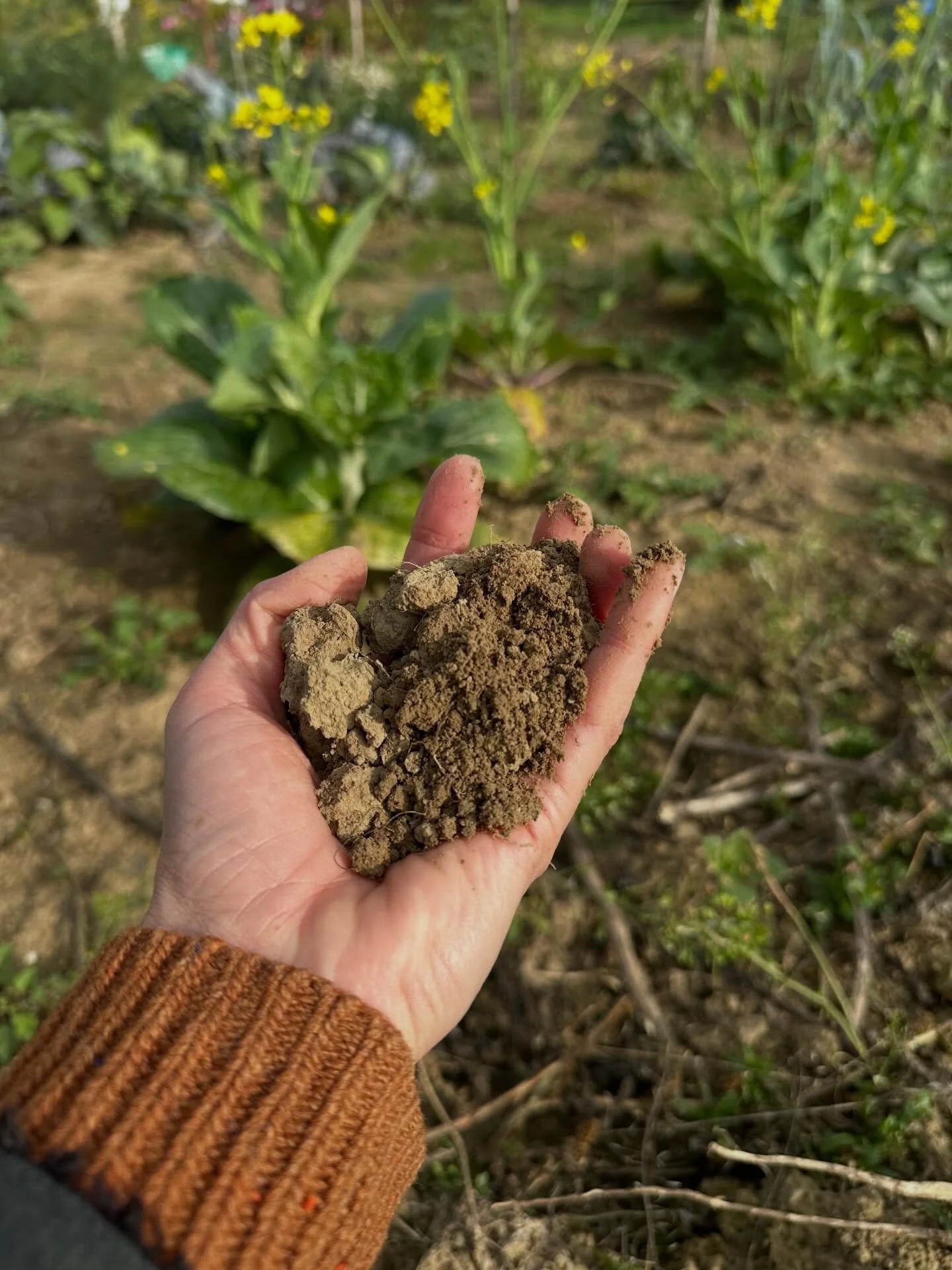 Einladung zum Planungstermin

Liebe Weltackermitglieder und Interessierte,

unser n&auml;chstes Weltacker Treffen findet statt am 
➡️ Montag den 13.04.2026 um 19:30 Uhr 
➡️ in &bdquo;Das Gute Haus&ldquo;, Kaiserstra&szlig;e 89 in Friedberg 

Kommt vo