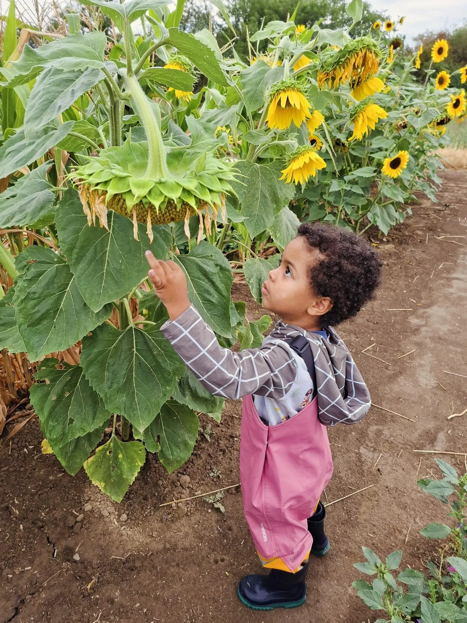 Kinderfreitage auf dem Weltacker 

Liebe Eltern und Kinder, jeden Freitagnachmittag von 15-17 Uhr ist Kinderfreitag auf dem Weltacker! Marlu vom Weltacker empf&auml;ngt Euch und hat f&uuml;r jeden Freitag eine kleine Mitmachaktion vorbereitet. 

Komm