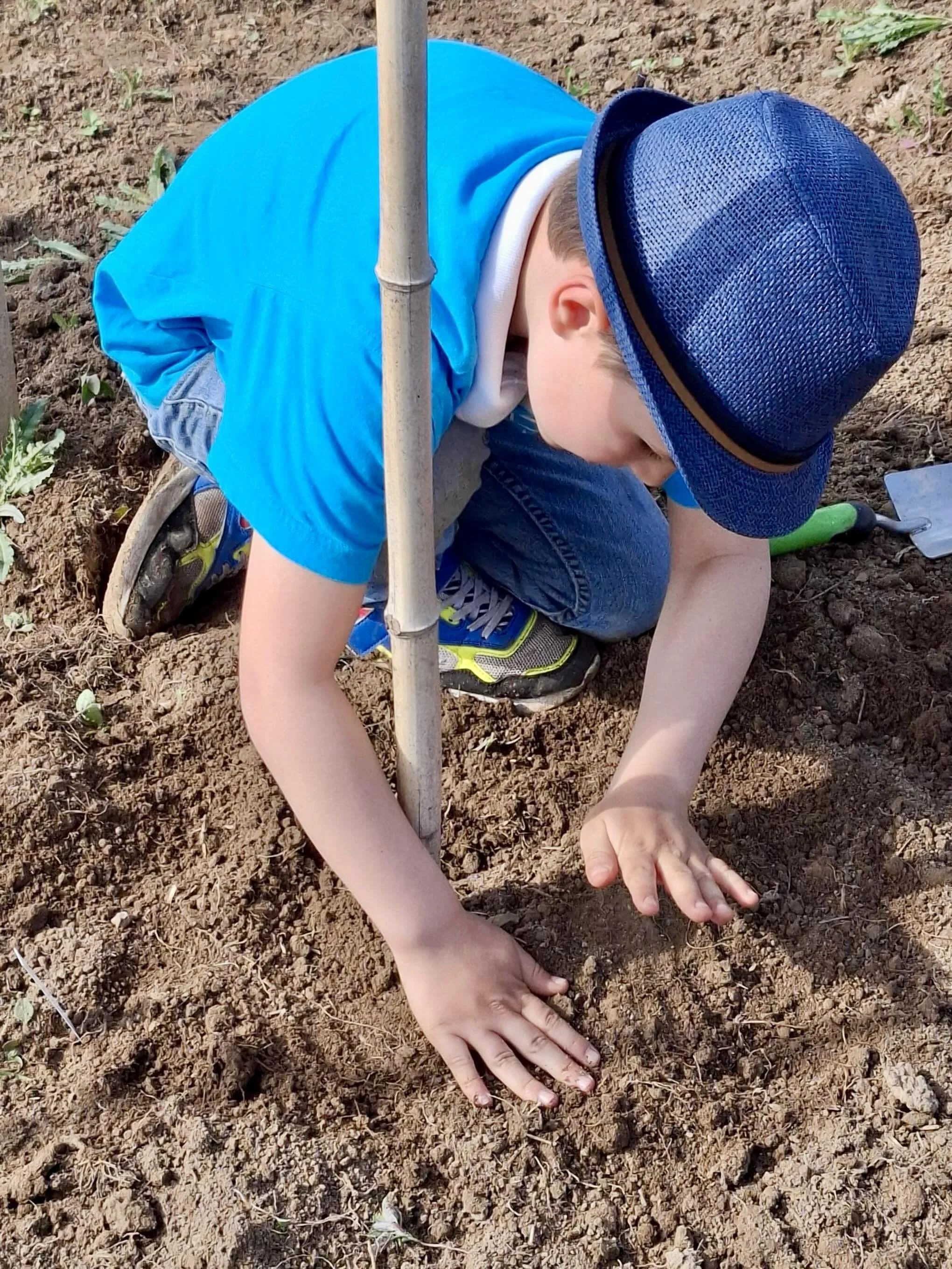 Jeden Freitag ist Kinderfreitag! 

Liebe Kinder und Eltern, jeden Freitagnachmittag ist Kinderfreitag auf dem Weltacker in Friedberg! F&uuml;r Kinder von 3-11 Jahre mit ihren Eltern

Hier k&ouml;nnt ihr 🧑🏽&zwj;🌾👩🏻&zwj;🌾🥬🥔🫛💦
- Buddeln und pf