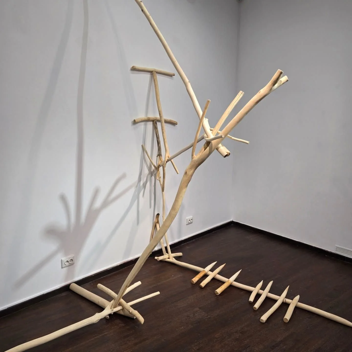 Sergiu Chihaia- „Rătăciți într-o pădure de Posibilități”, instalație de lemn, 2024