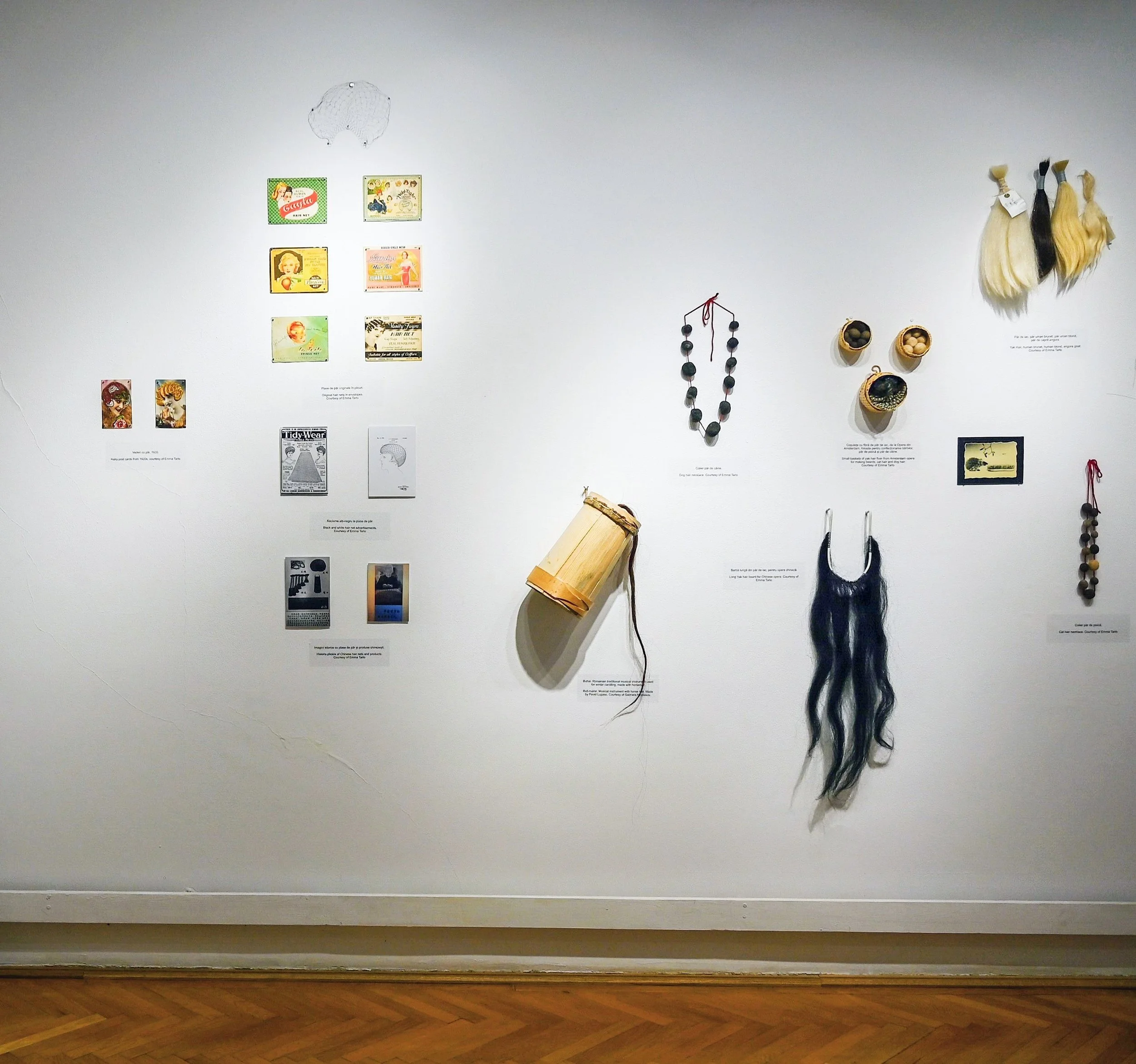 View from visual anthropology section 2.JPG
