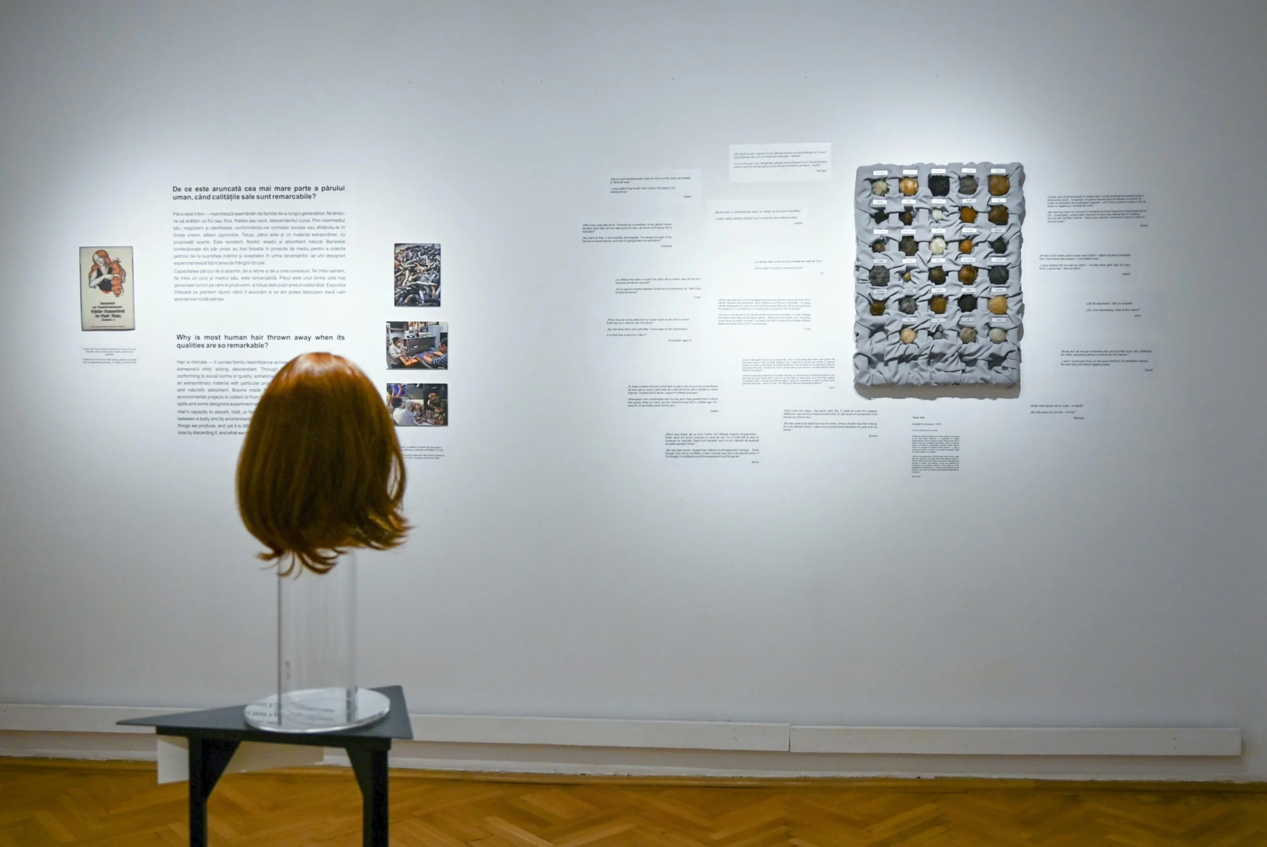 View from visual anthropology section.JPG