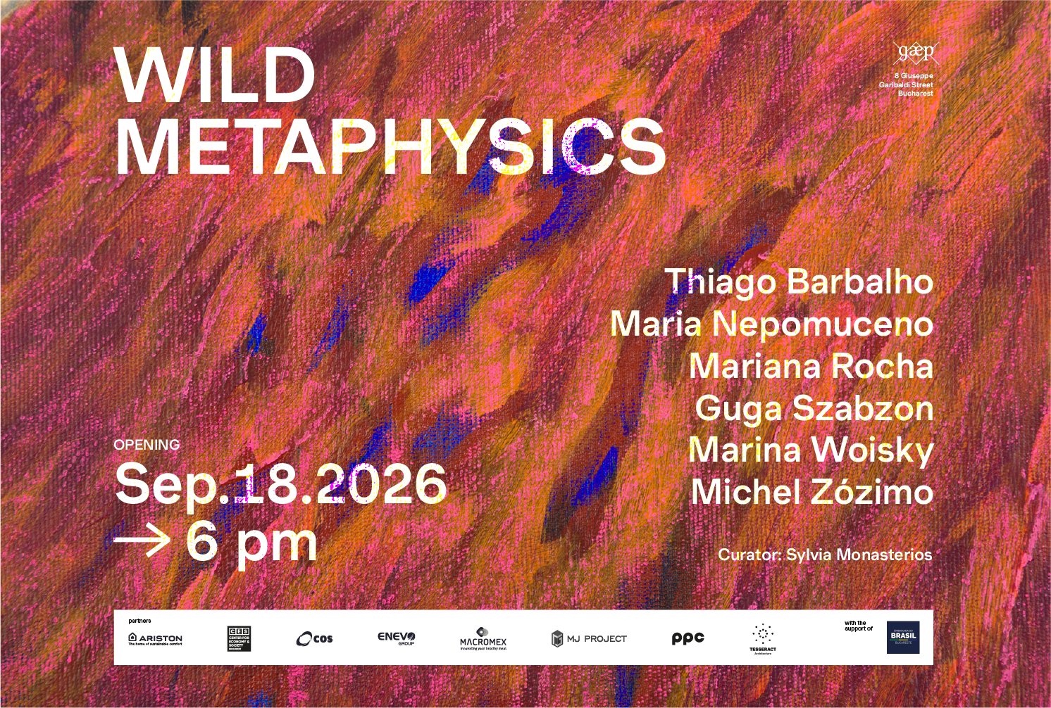 Wild Metaphysics”: Șase artiști brazilieni contemporani, în premieră la Gaep