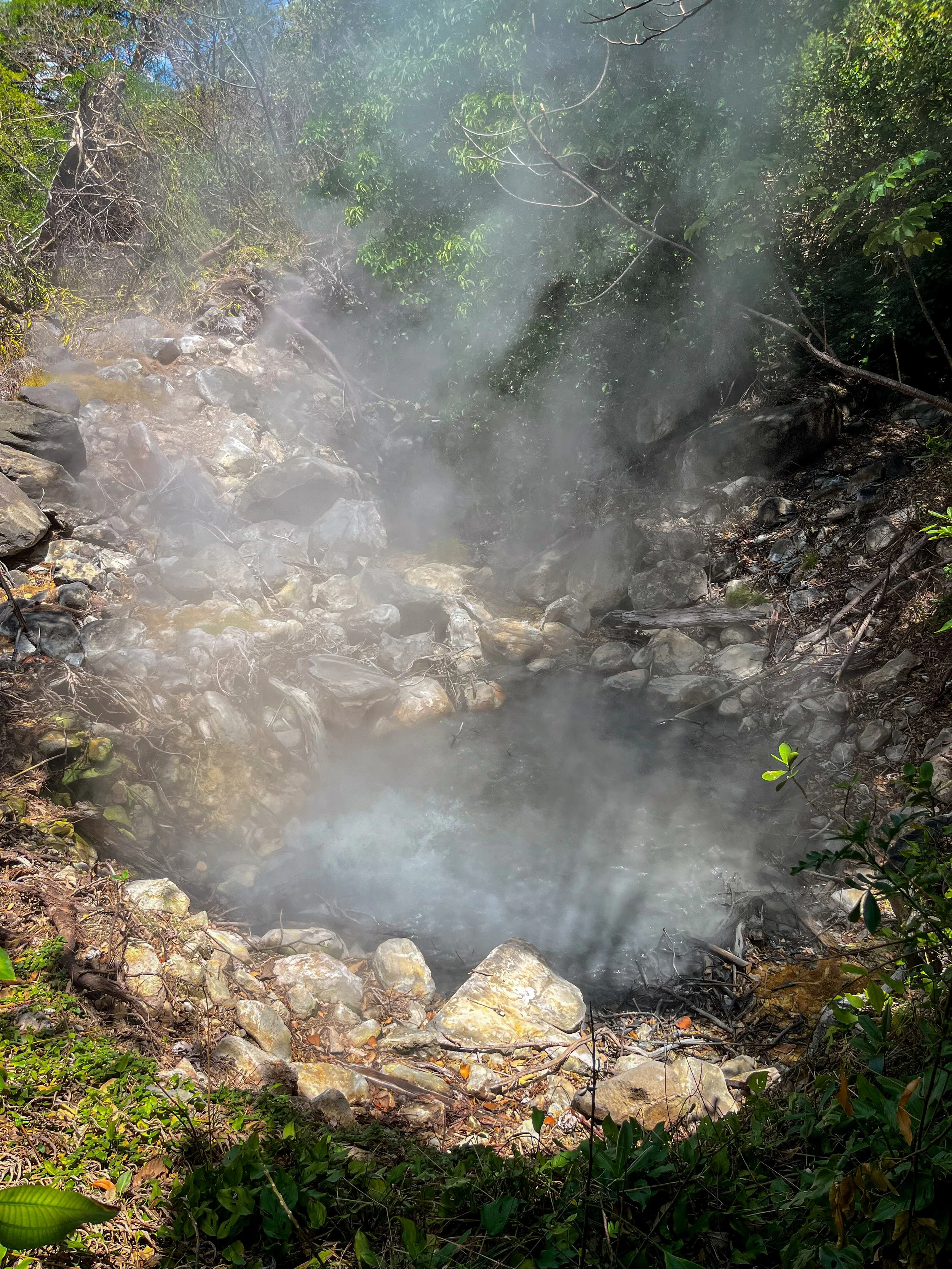 An geothermischen Austrittsstellen im Rincón-de-la-Vieja-Gebiet gelangt extrem heißes Wasser aus dem Untergrund an die Oberfläche und kann dort sichtbar brodeln und dampfen.